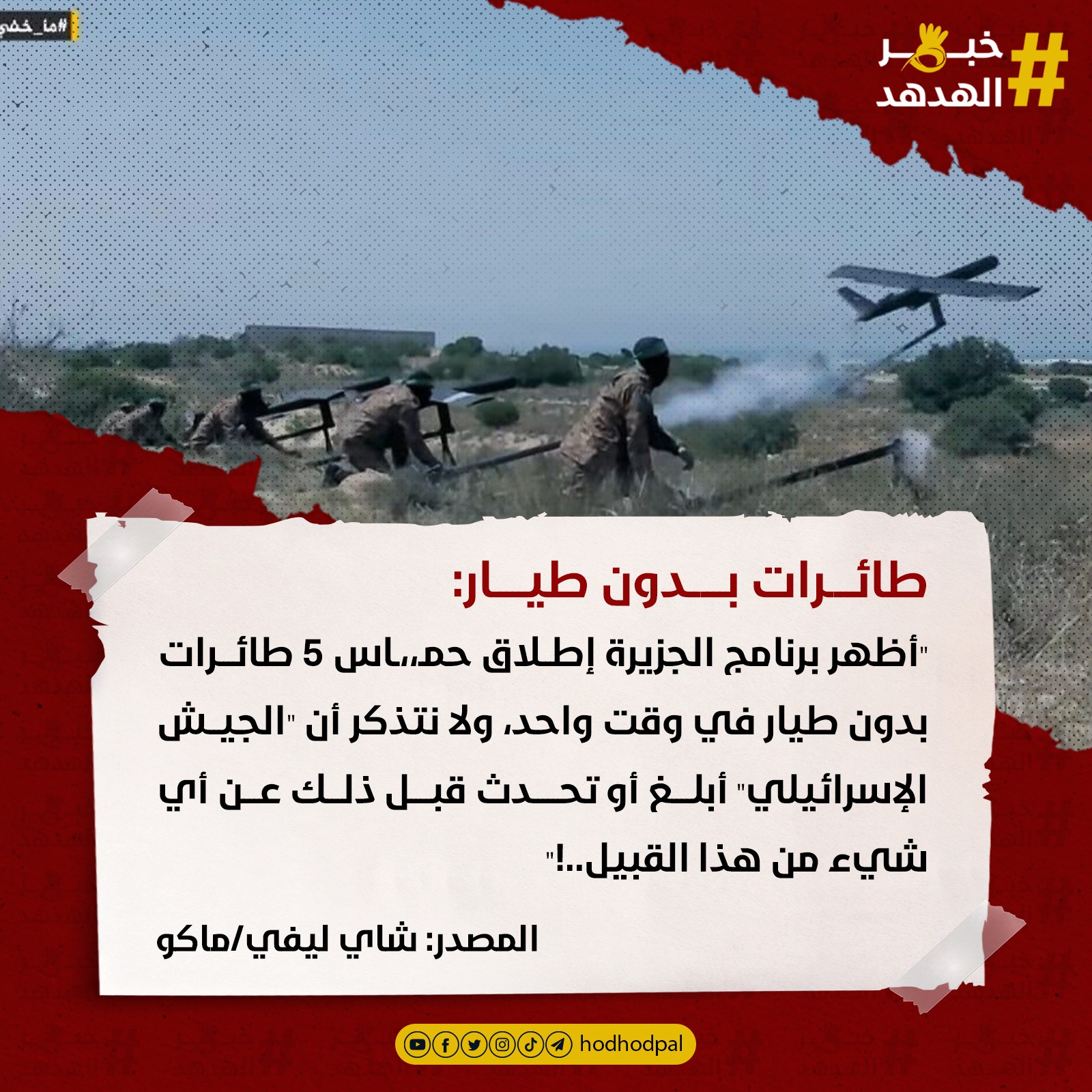 #خبر_الهدهد