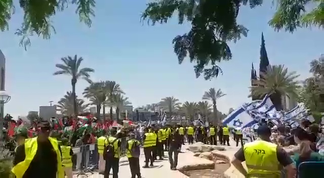 مظاهرة تُرفع خلالها الأعلام الفلسطينية وأعلام الكيان