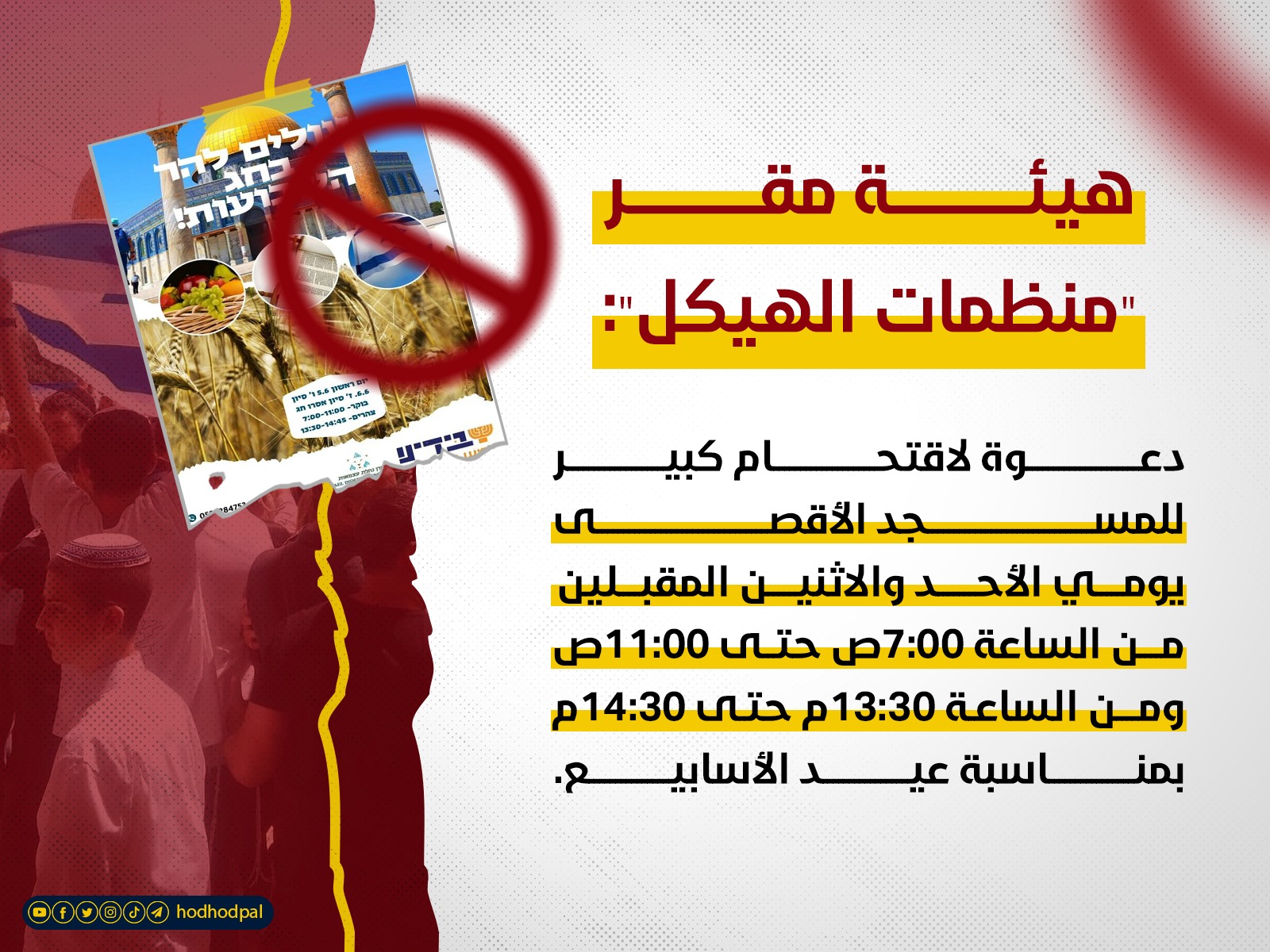 #خبر_الهدهد