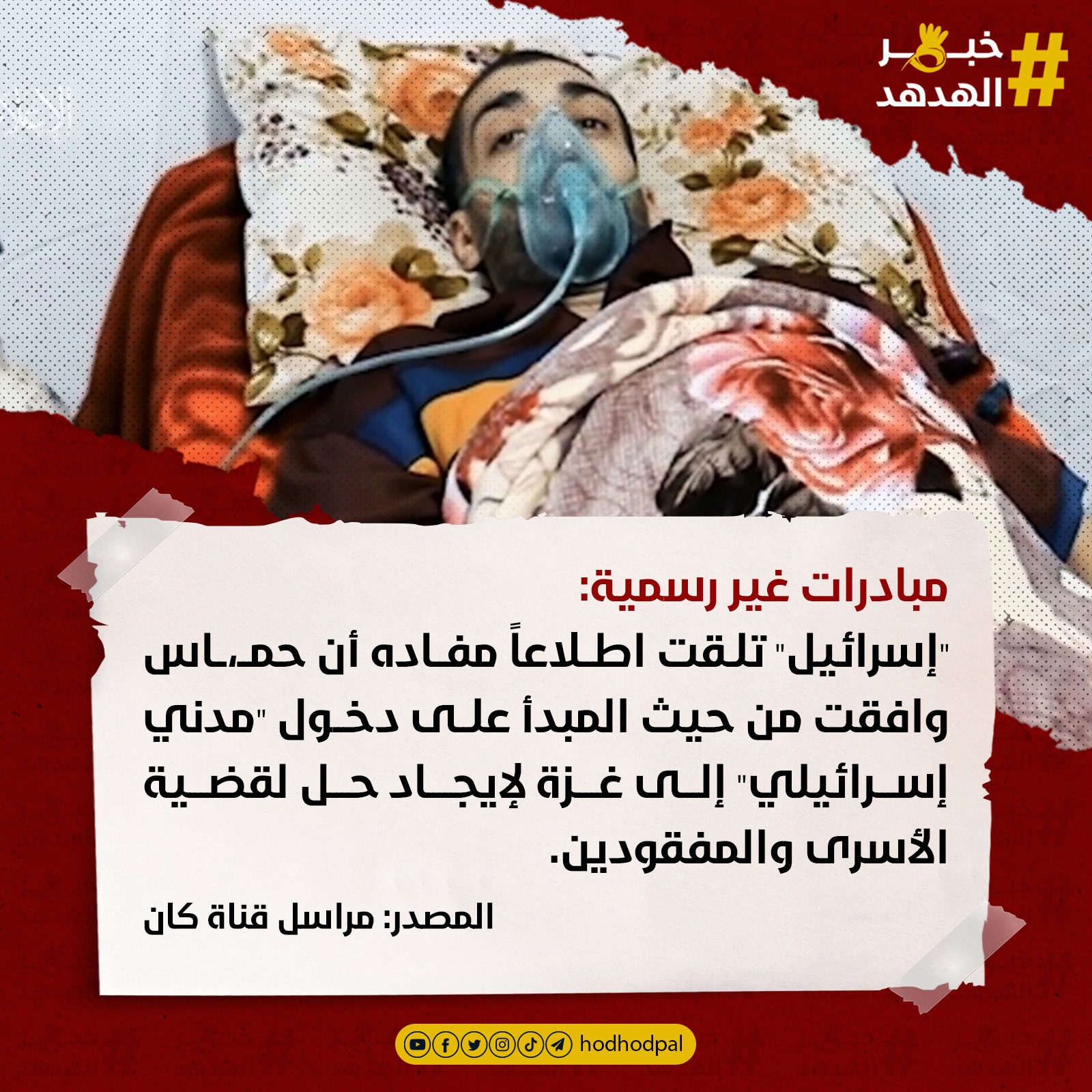 #خبر_الهدهد