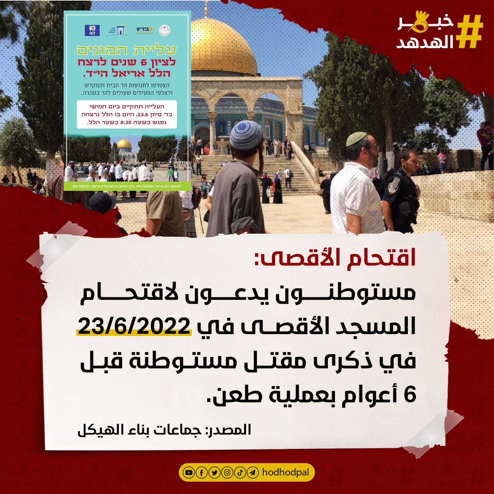 #خبر_الهدهد