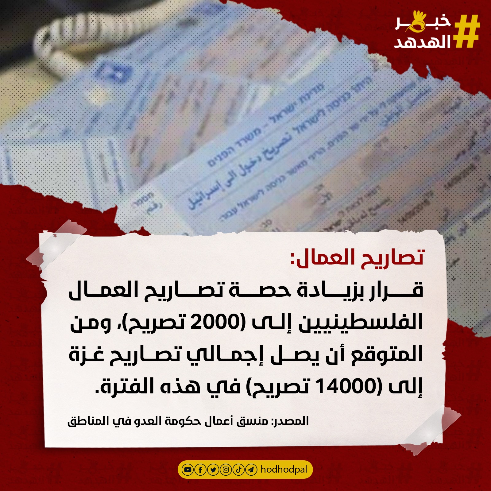 #خبر_الهدهد