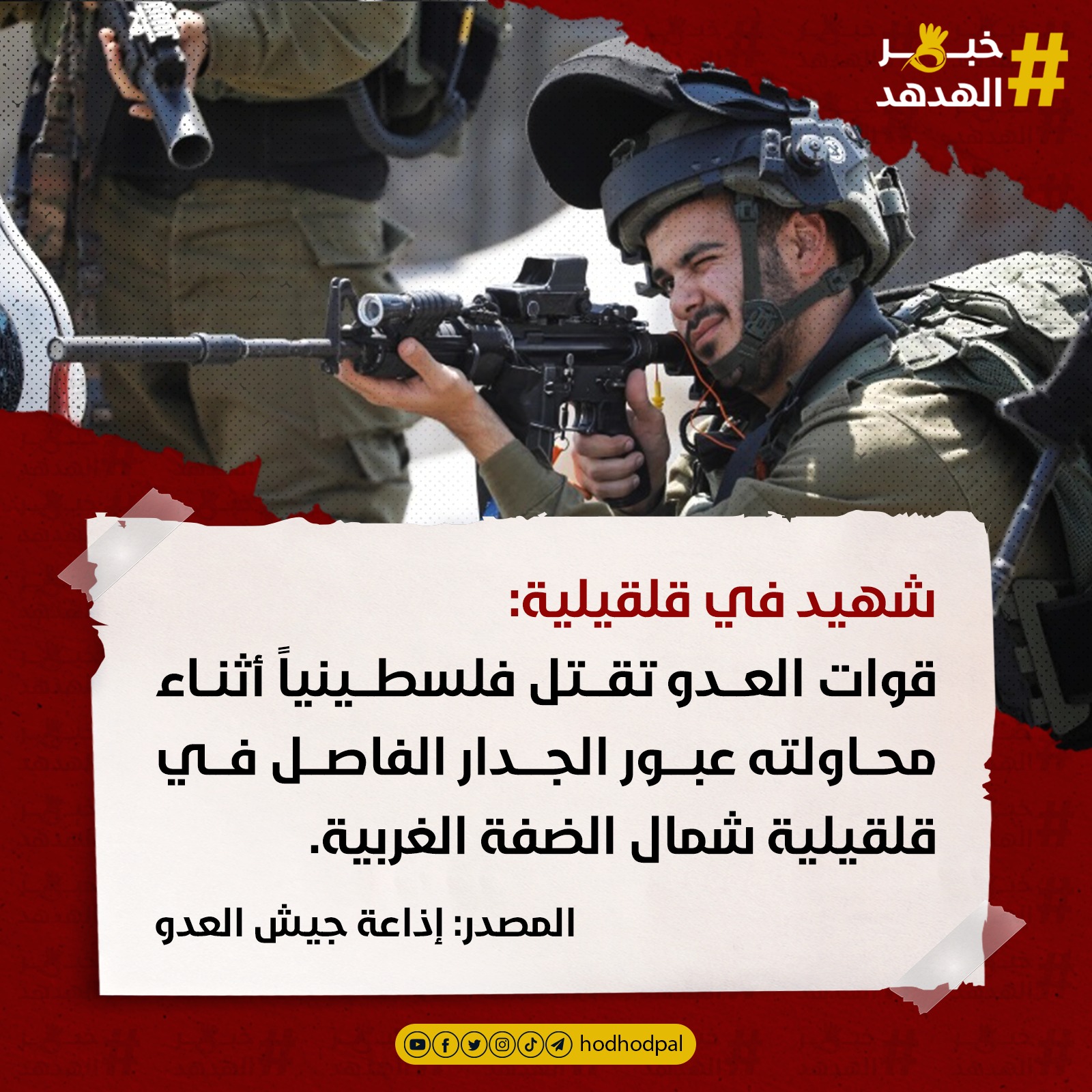 #خبر_الهدهد