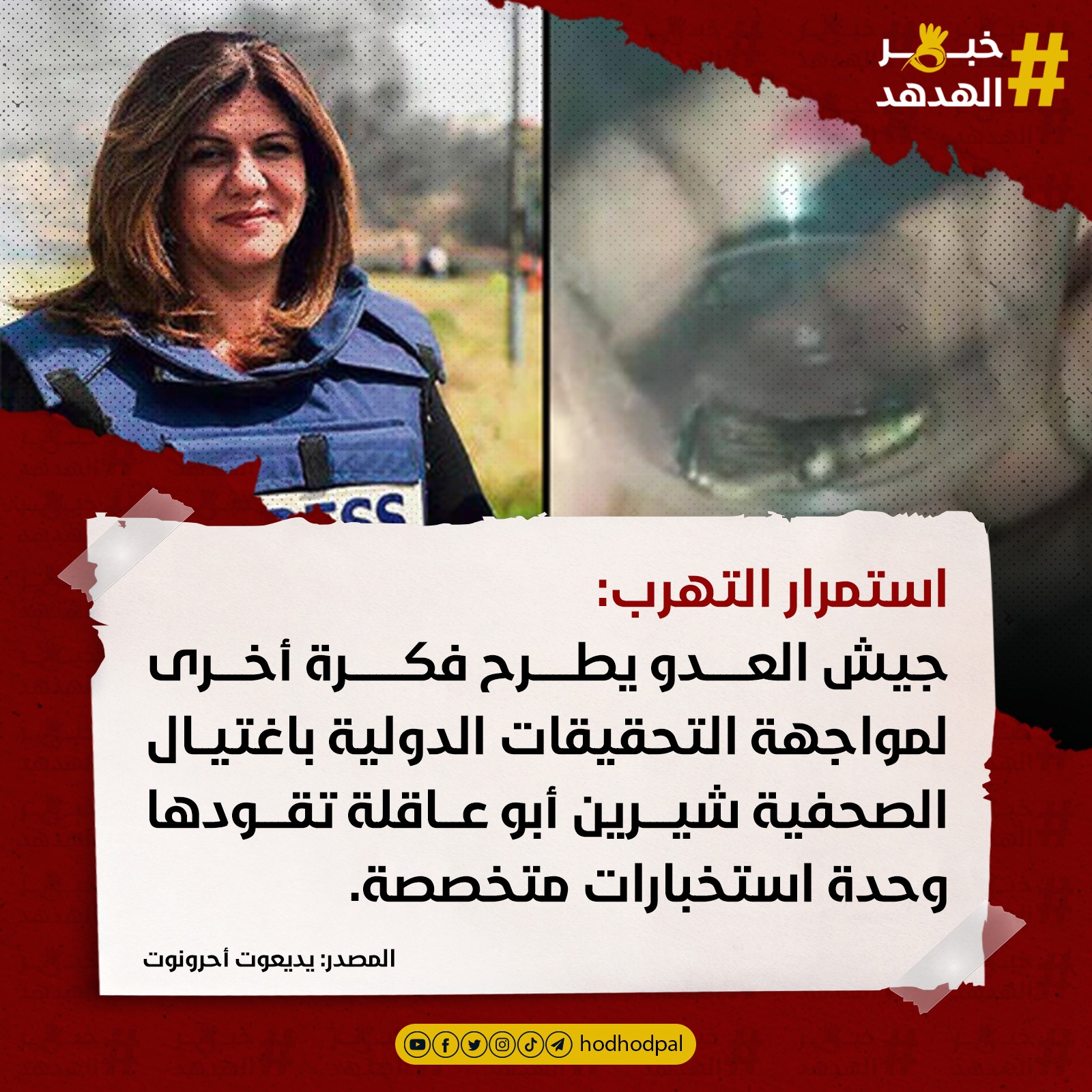 #خبر_الهدهد