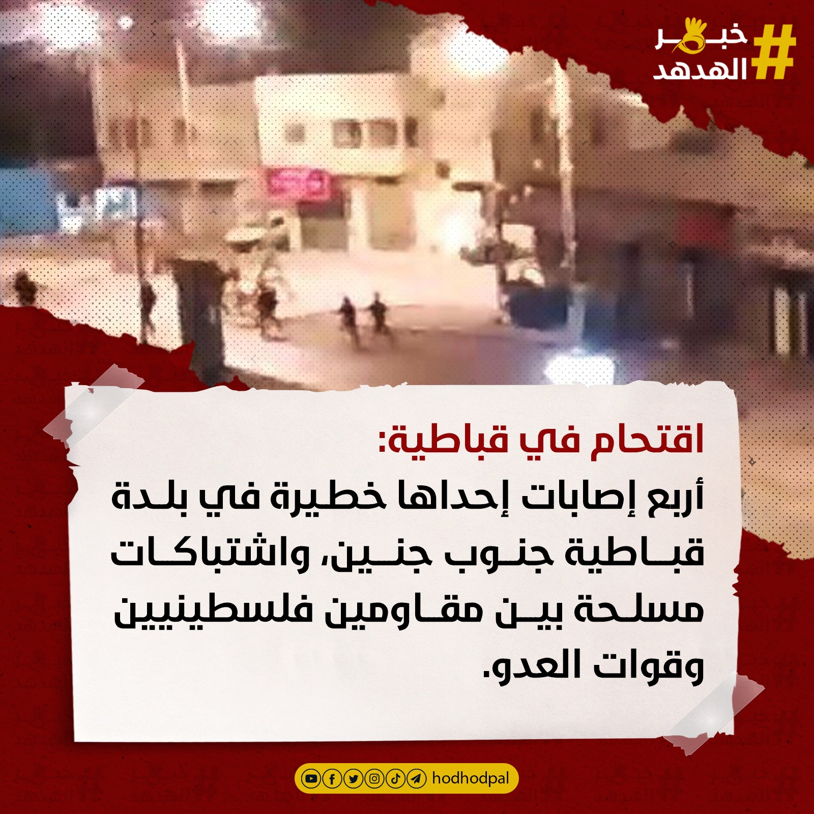 #خبر_الهدهد