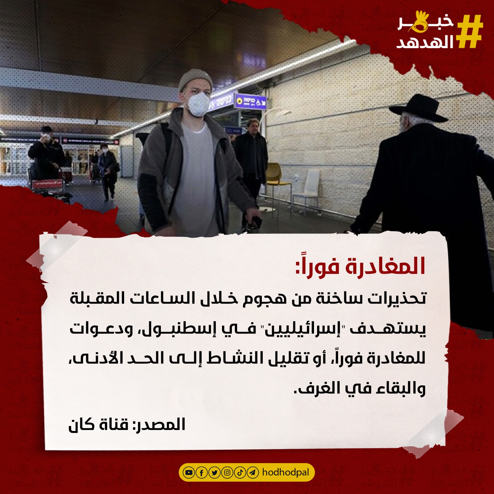 #خبر_الهدهد