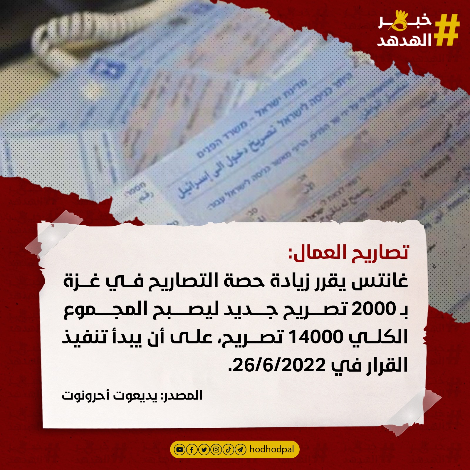 #خبر_الهدهد