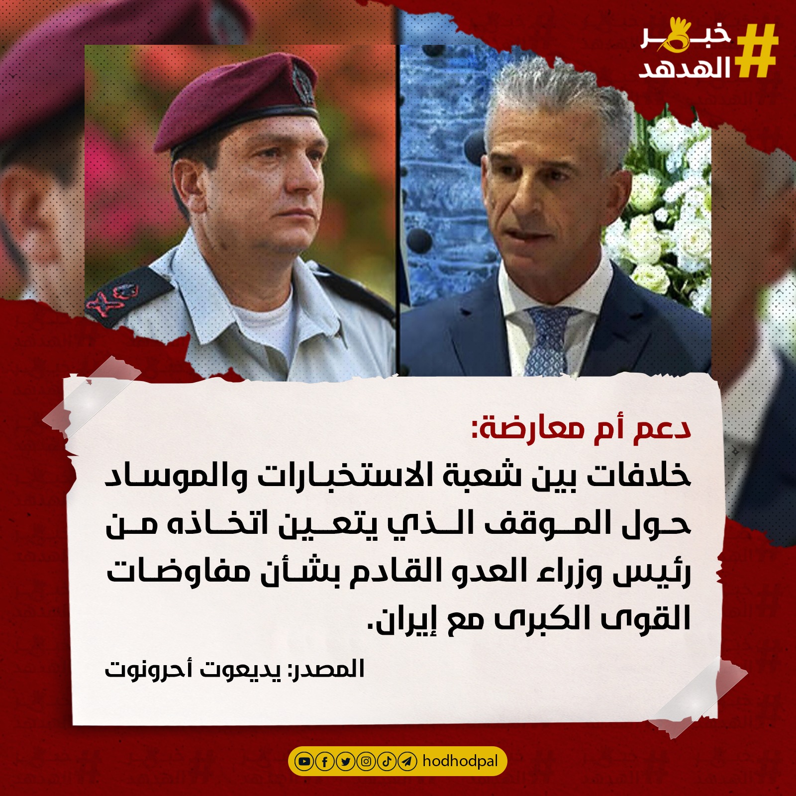 #خبر_الهدهد