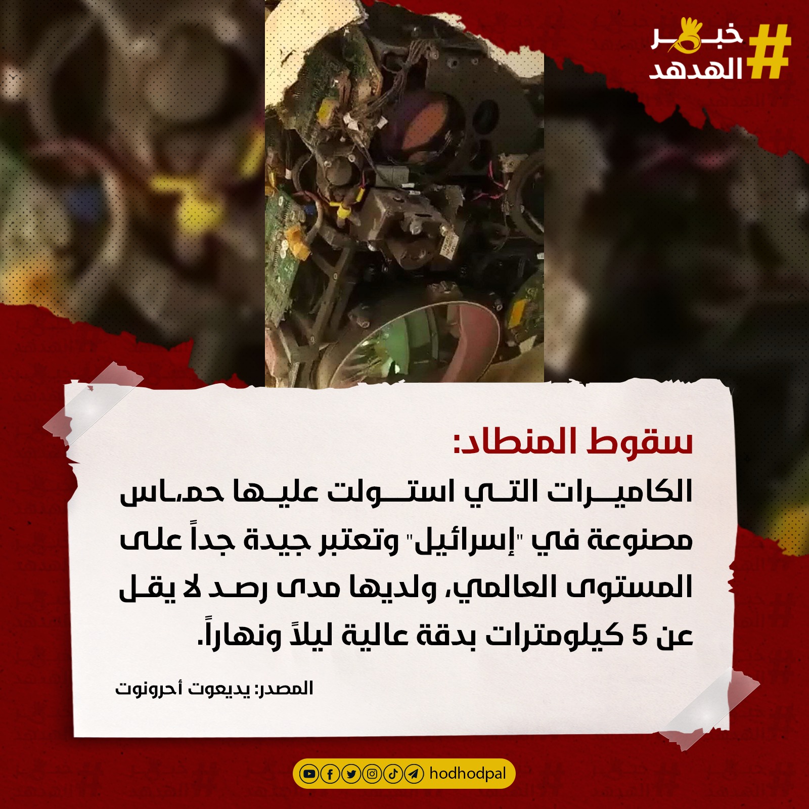 #خبر_الهدهد