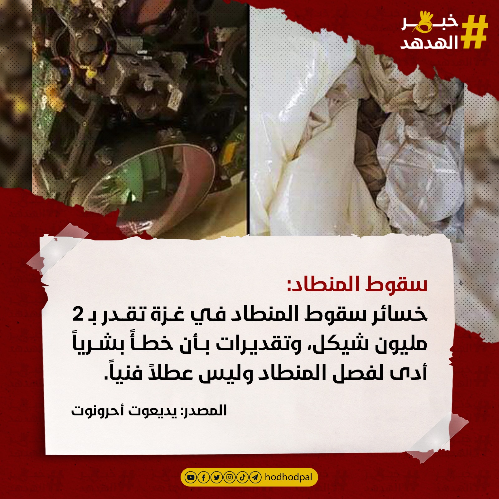 #خبر_الهدهد