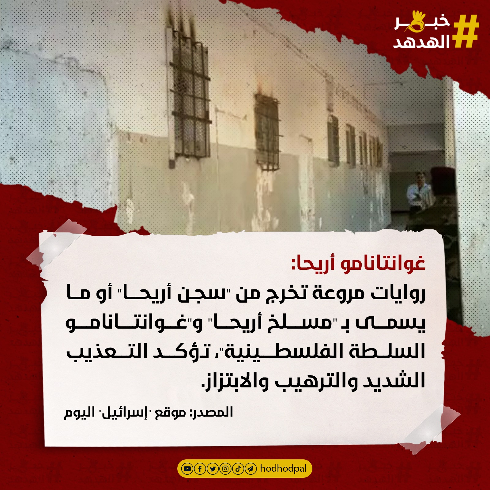 #خبر_الهدهد