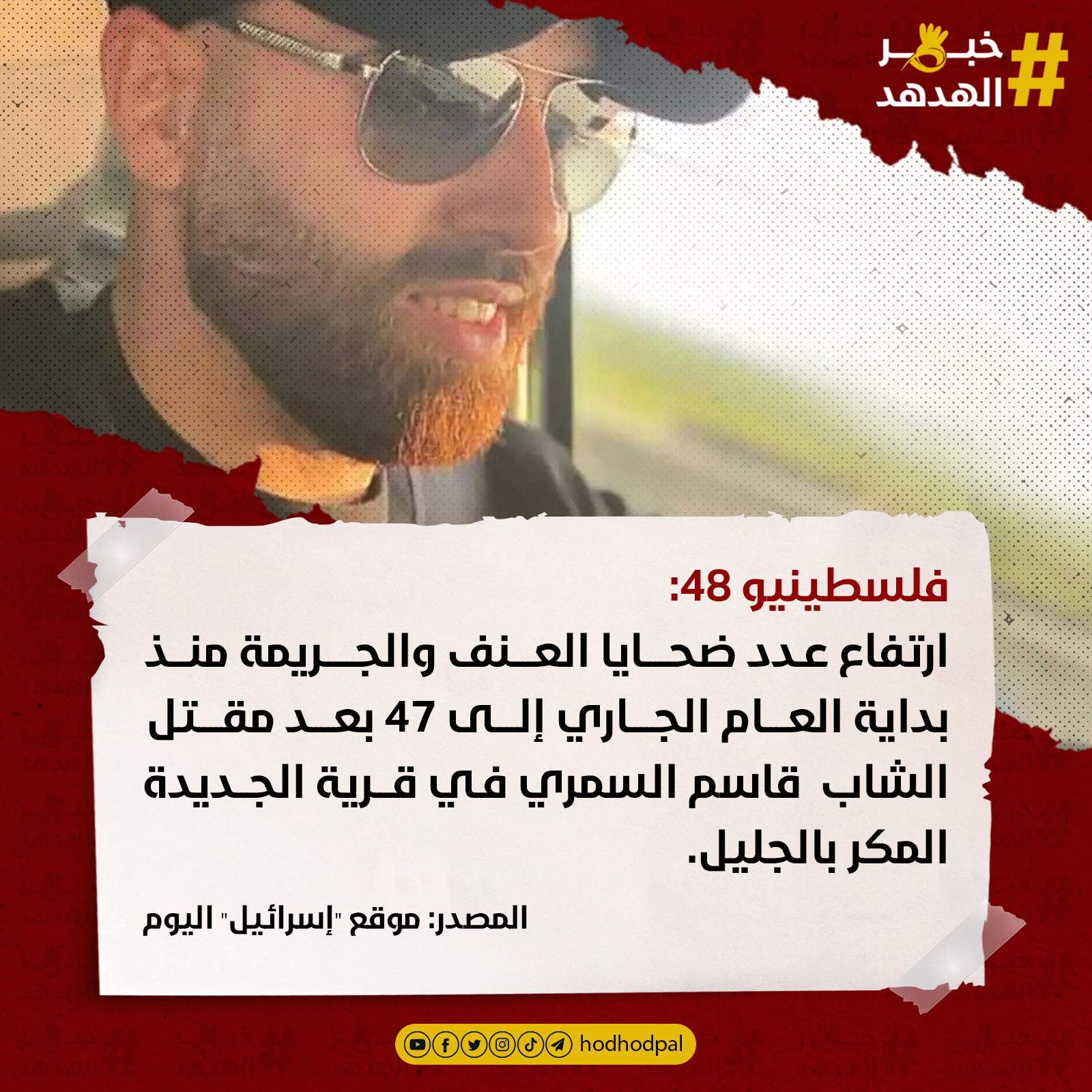 #خبر_الهدهد