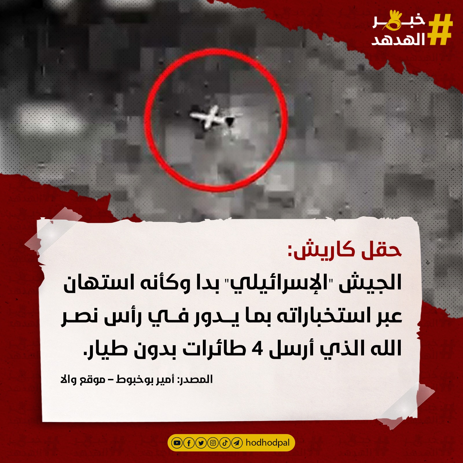 #خبر_الهدهد