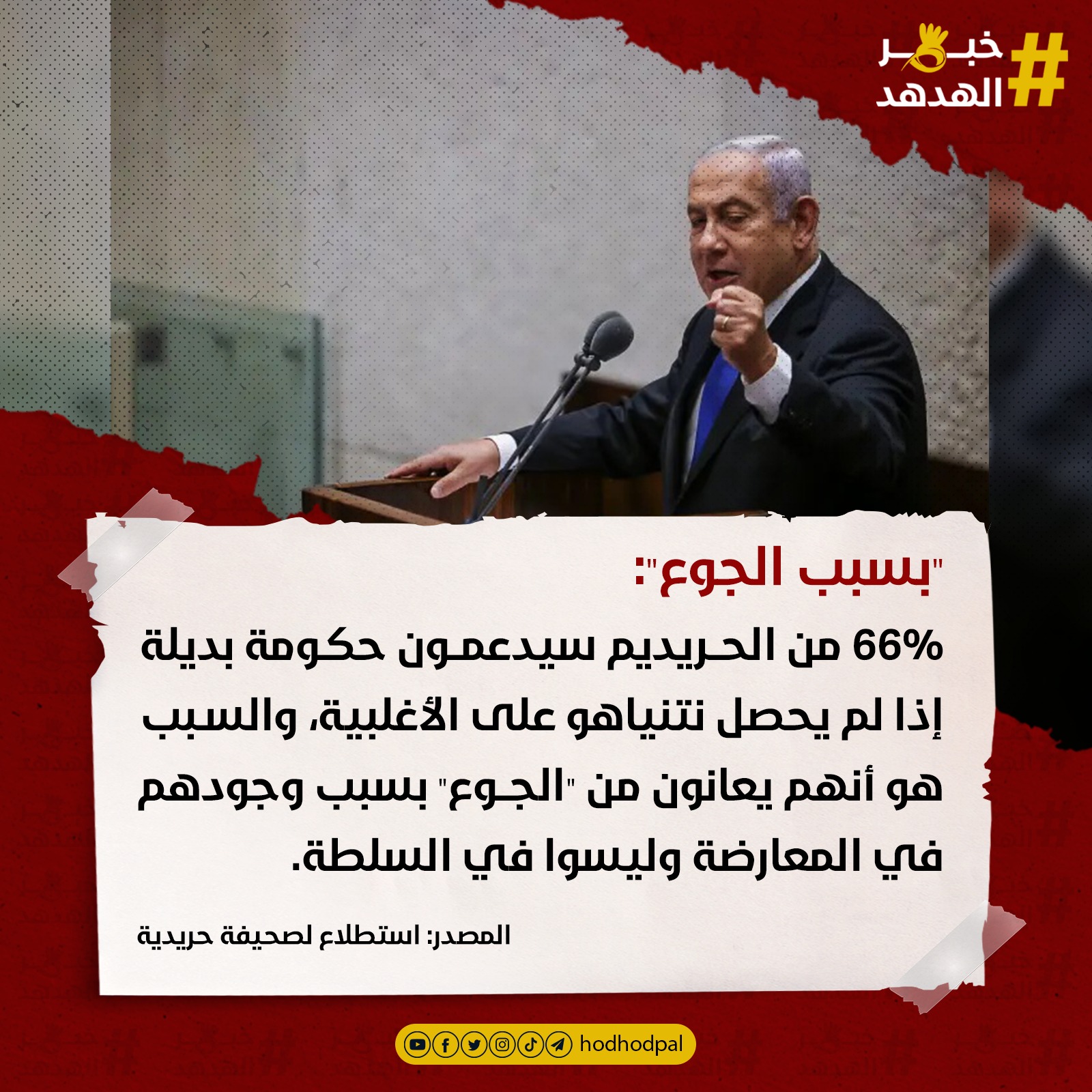 #خبر_الهدهد