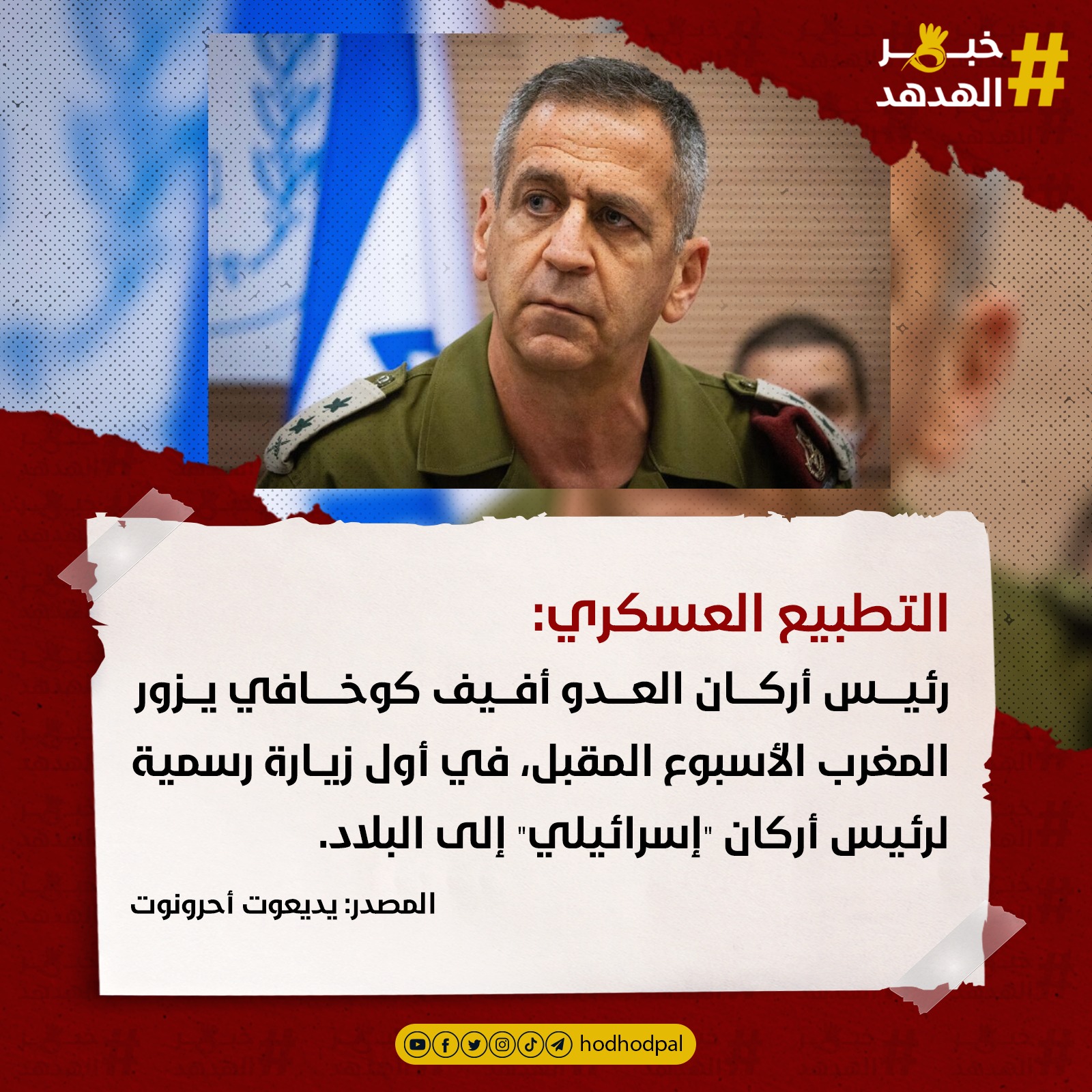 #خبر_الهدهد