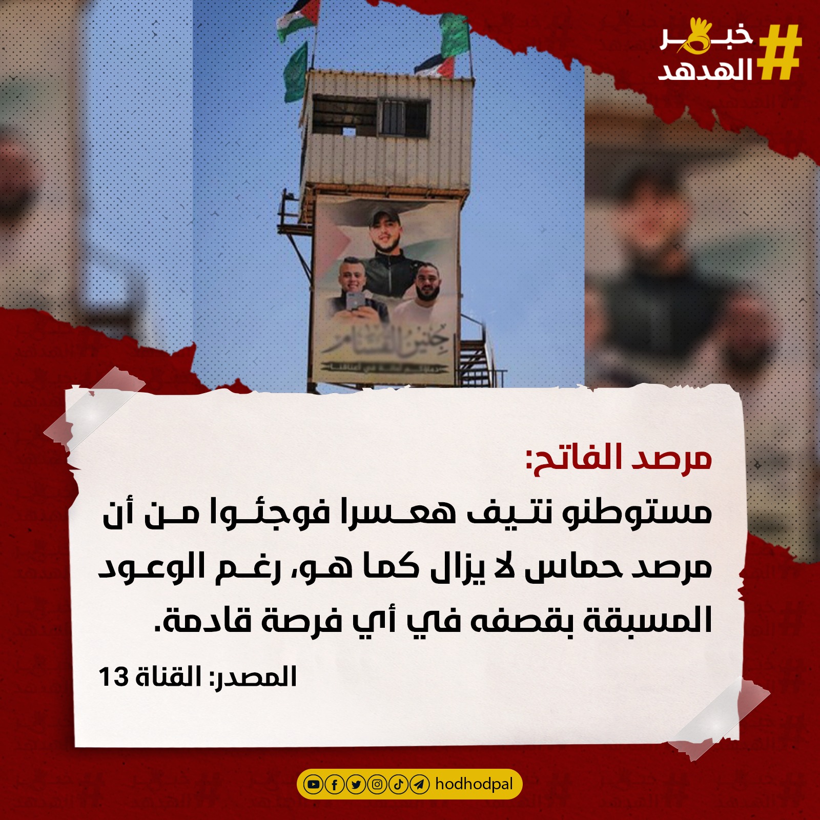 #خبر_الهدهد