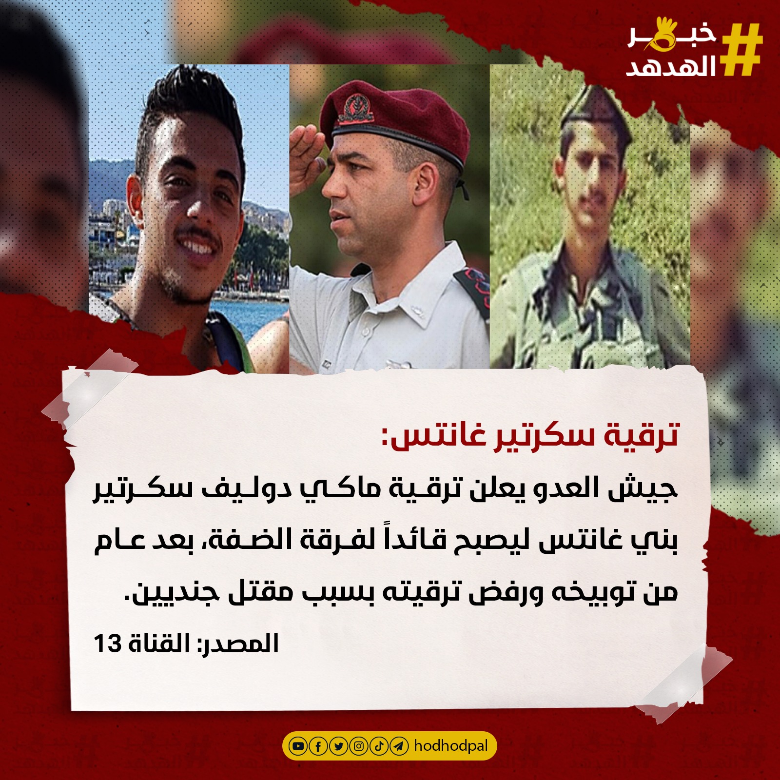 #خبر_الهدهد