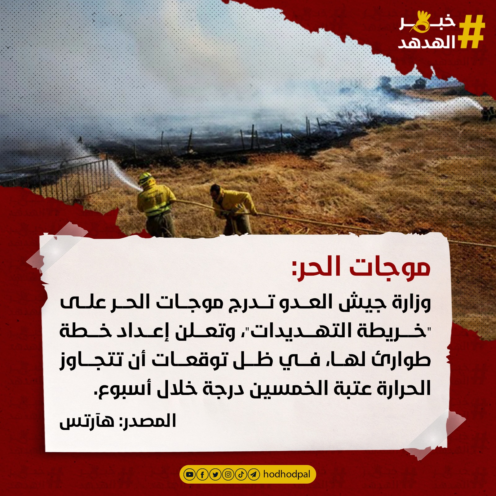 #خبر_الهدهد