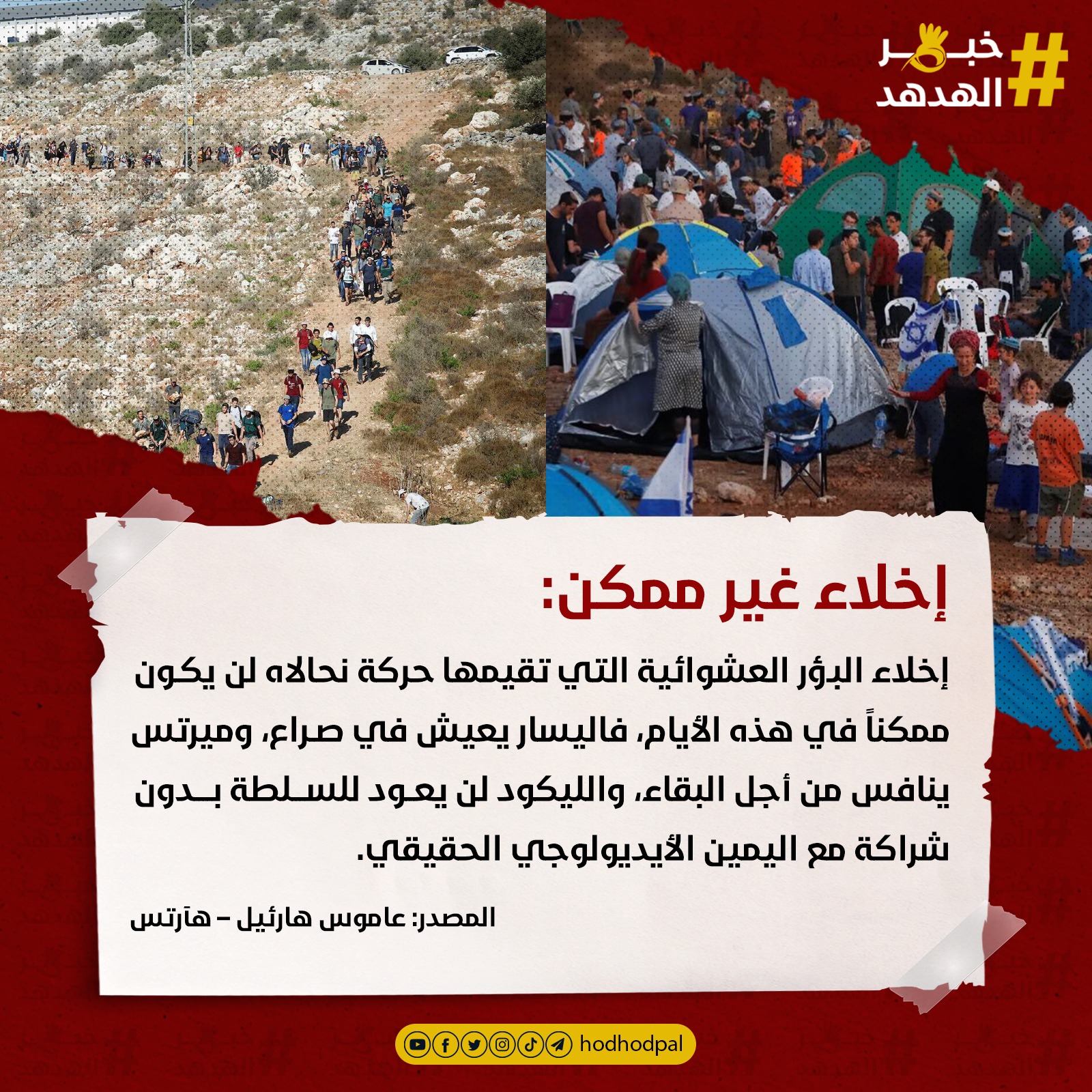 #خبر_الهدهد