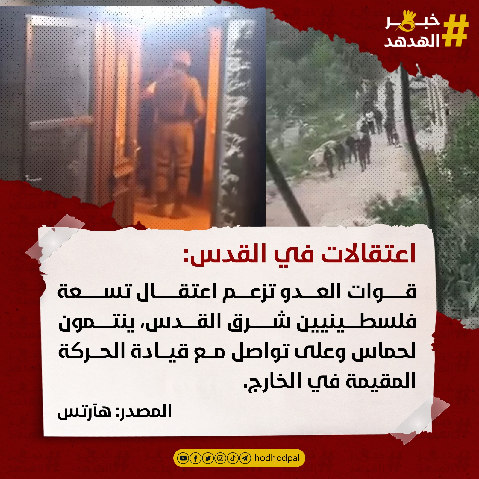 #خبر_الهدهد