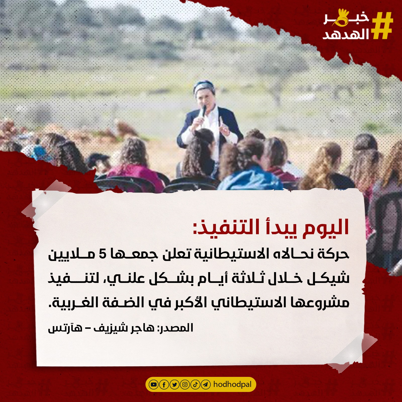 #خبر_الهدهد