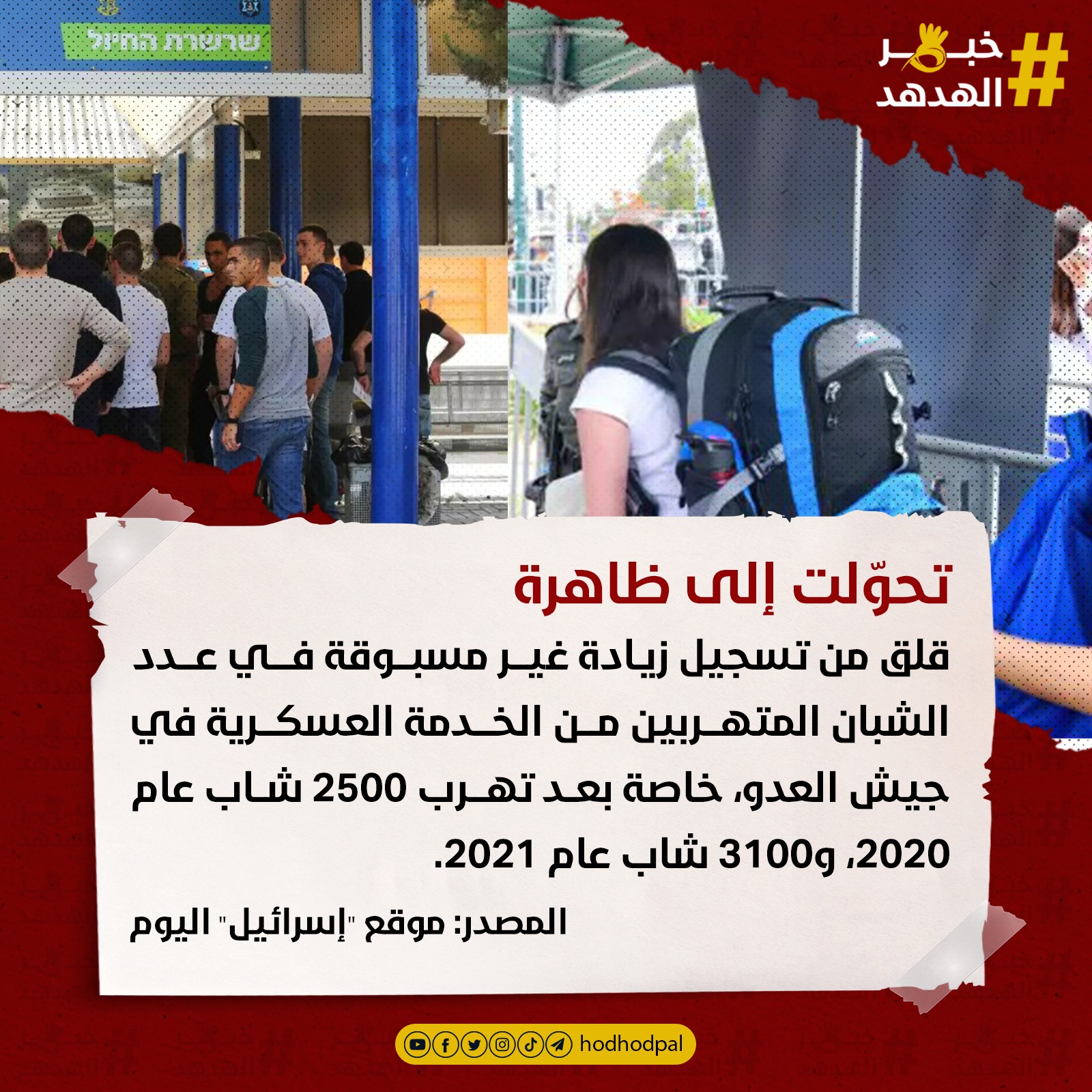 #خبر_الهدهد