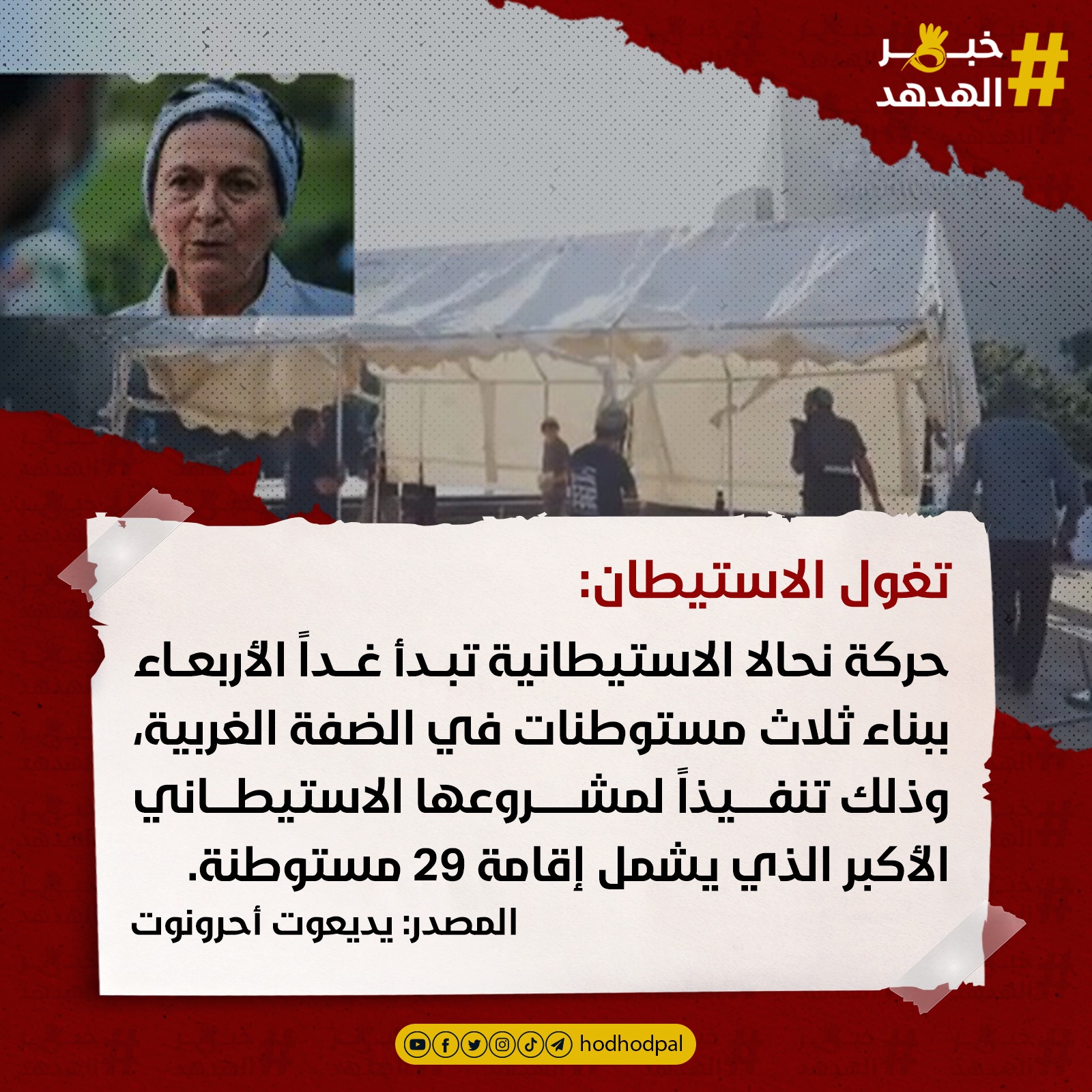 #خبر_الهدهد