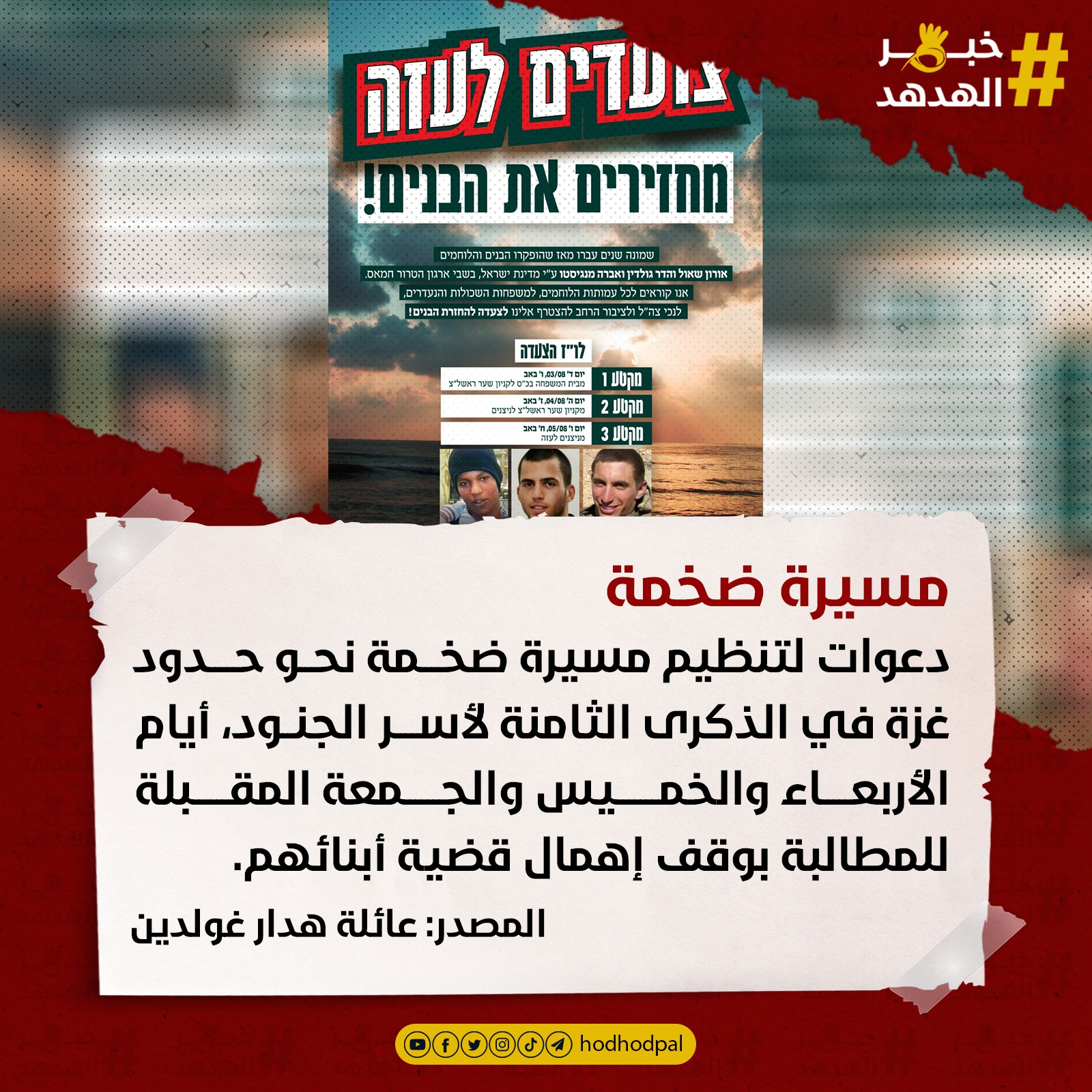 #خبر_الهدهد