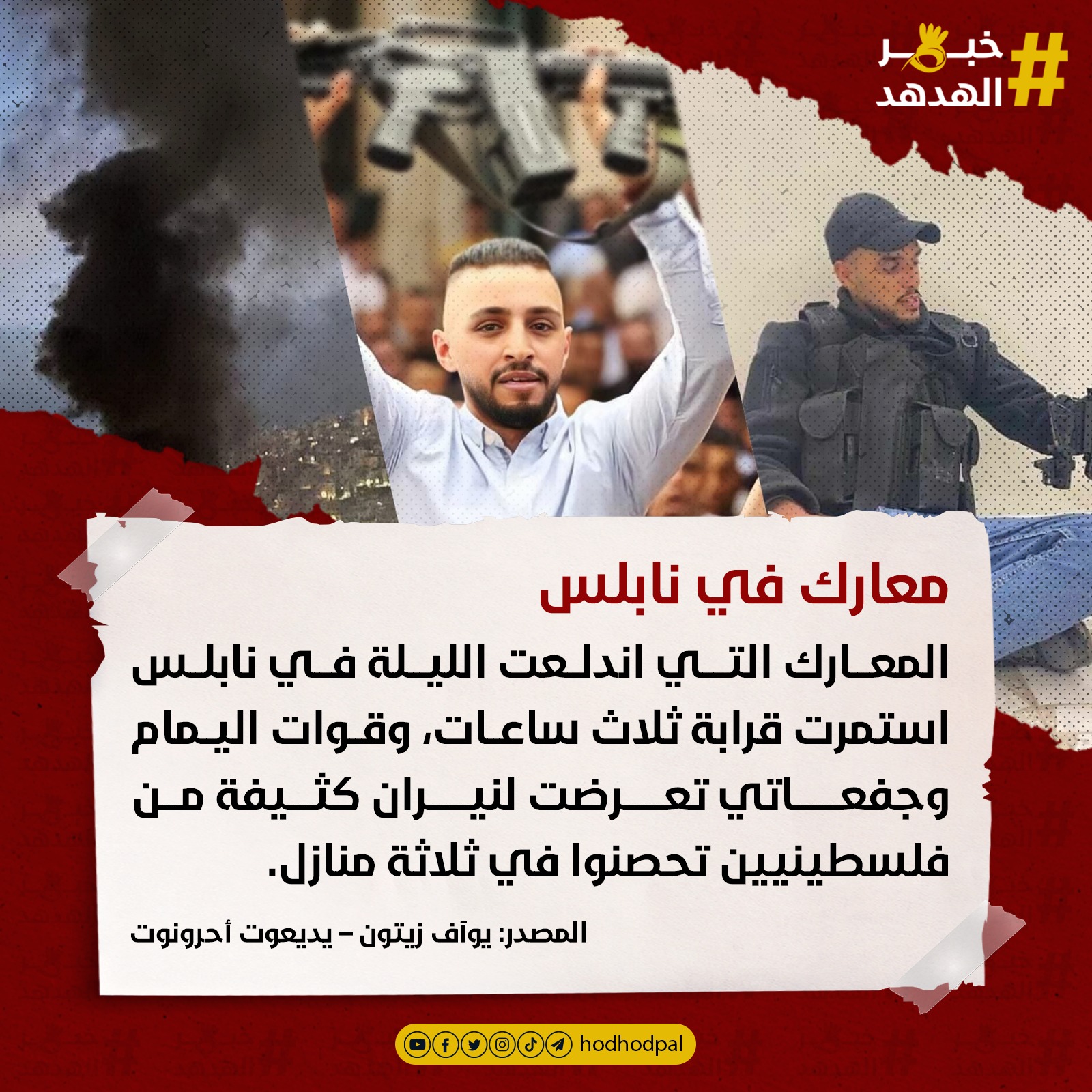 #خبر_الهدهد