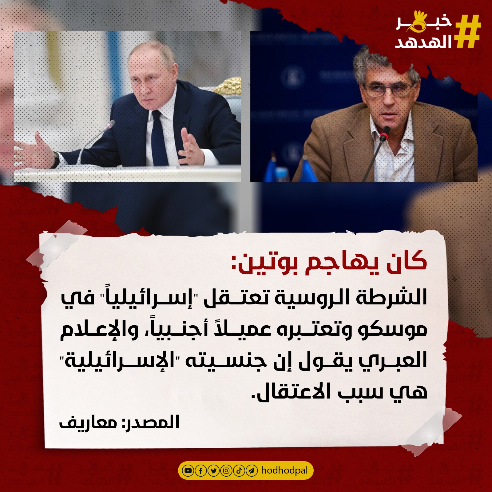 #خبر_الهدهد