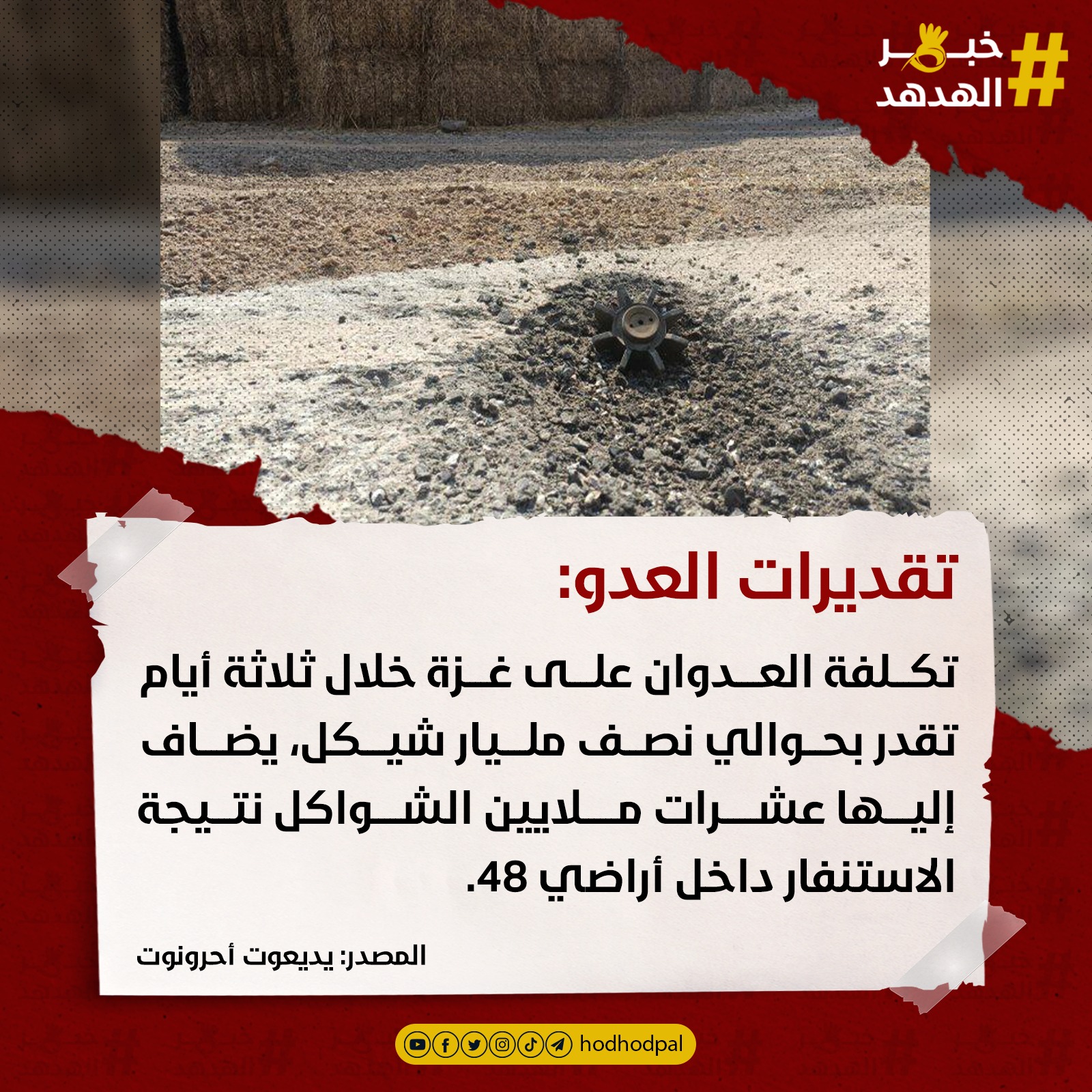 #خبر_الهدهد