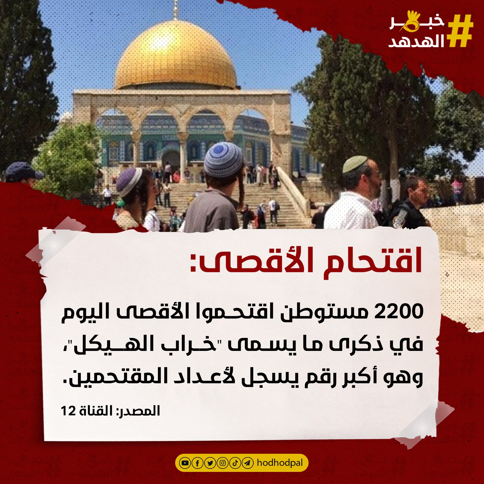 #خبر_الهدهد