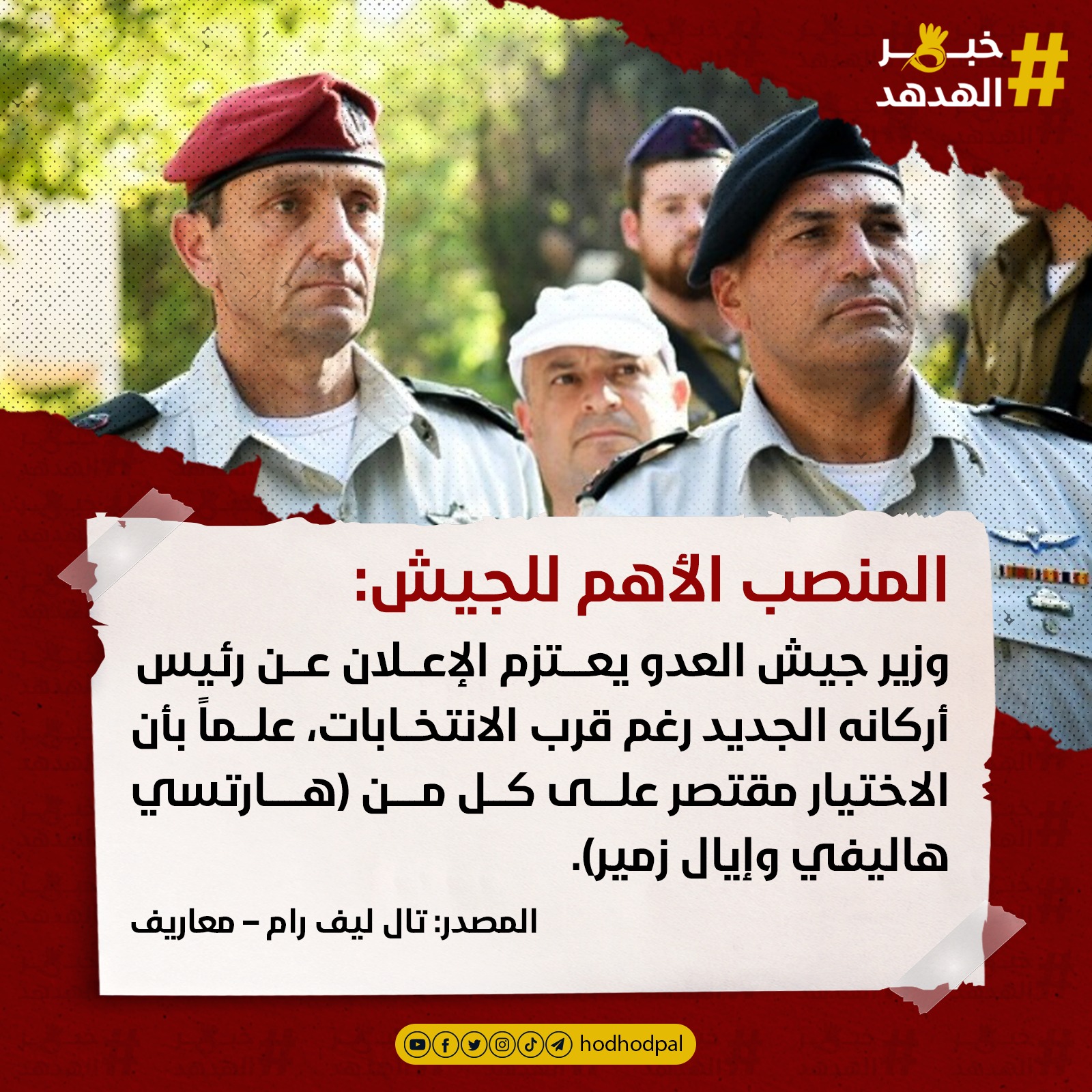 #خبر_الهدهد