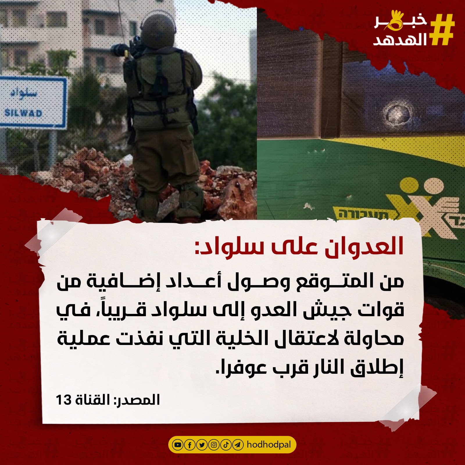 #خبر_الهدهد