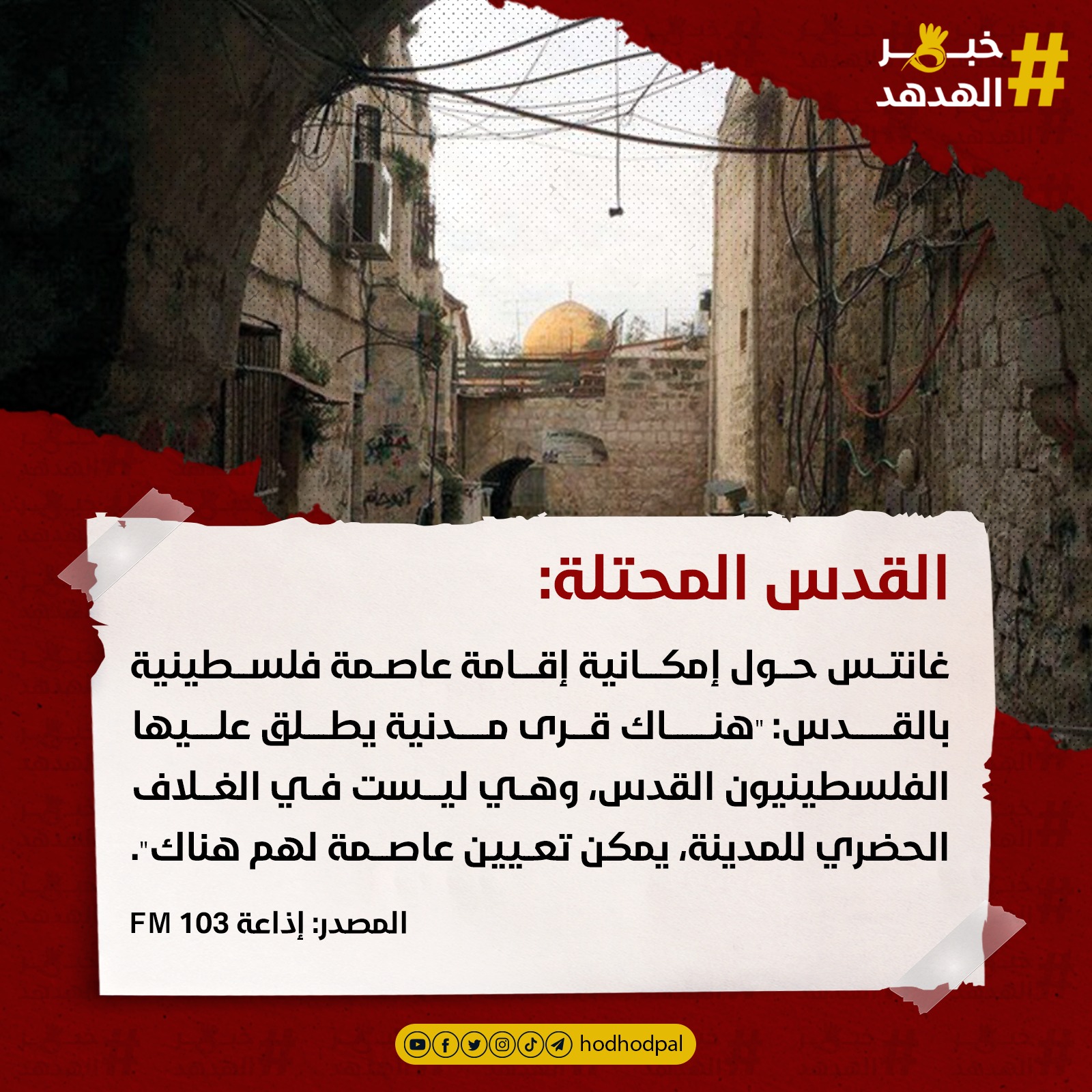 #خبر_الهدهد