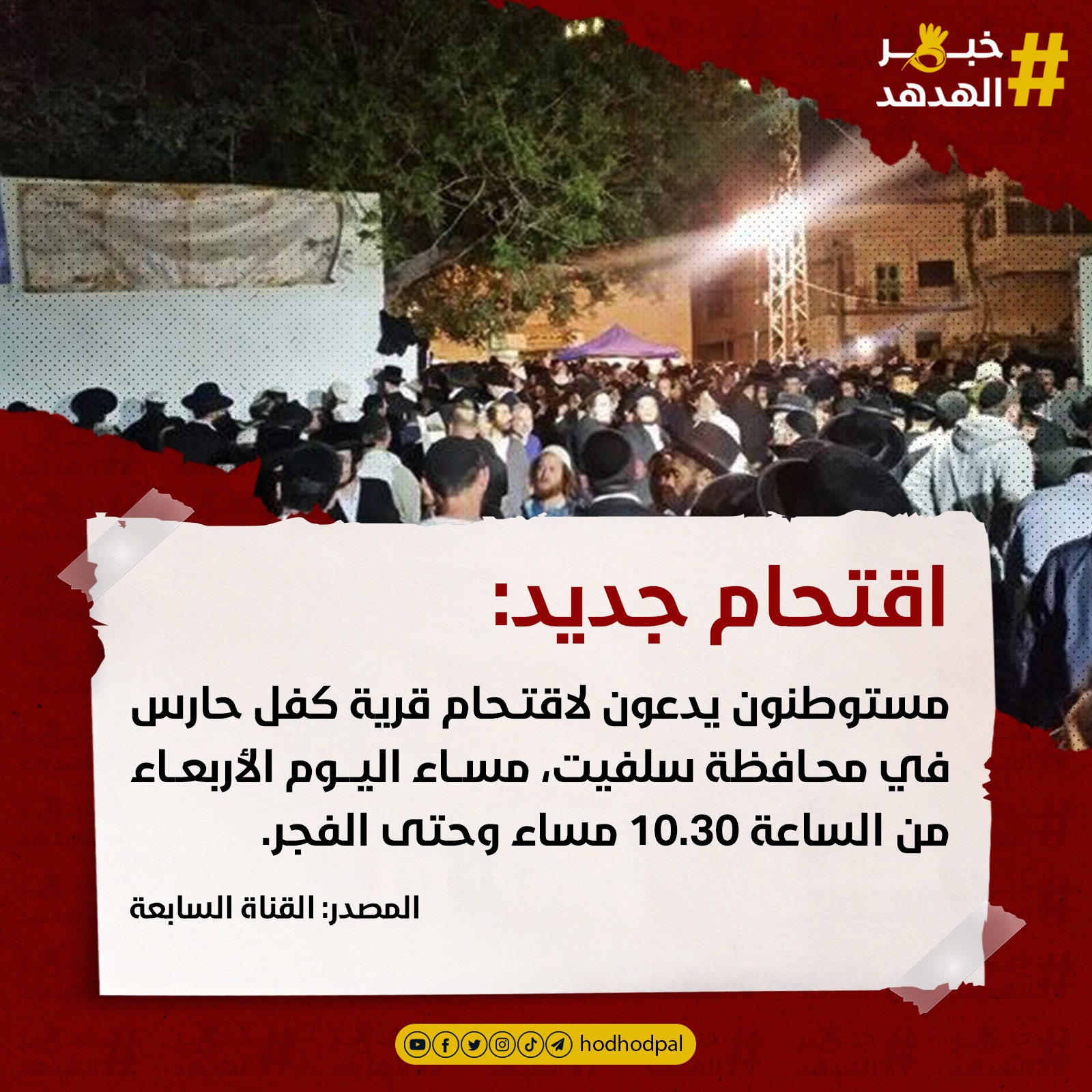 #خبر_الهدهد