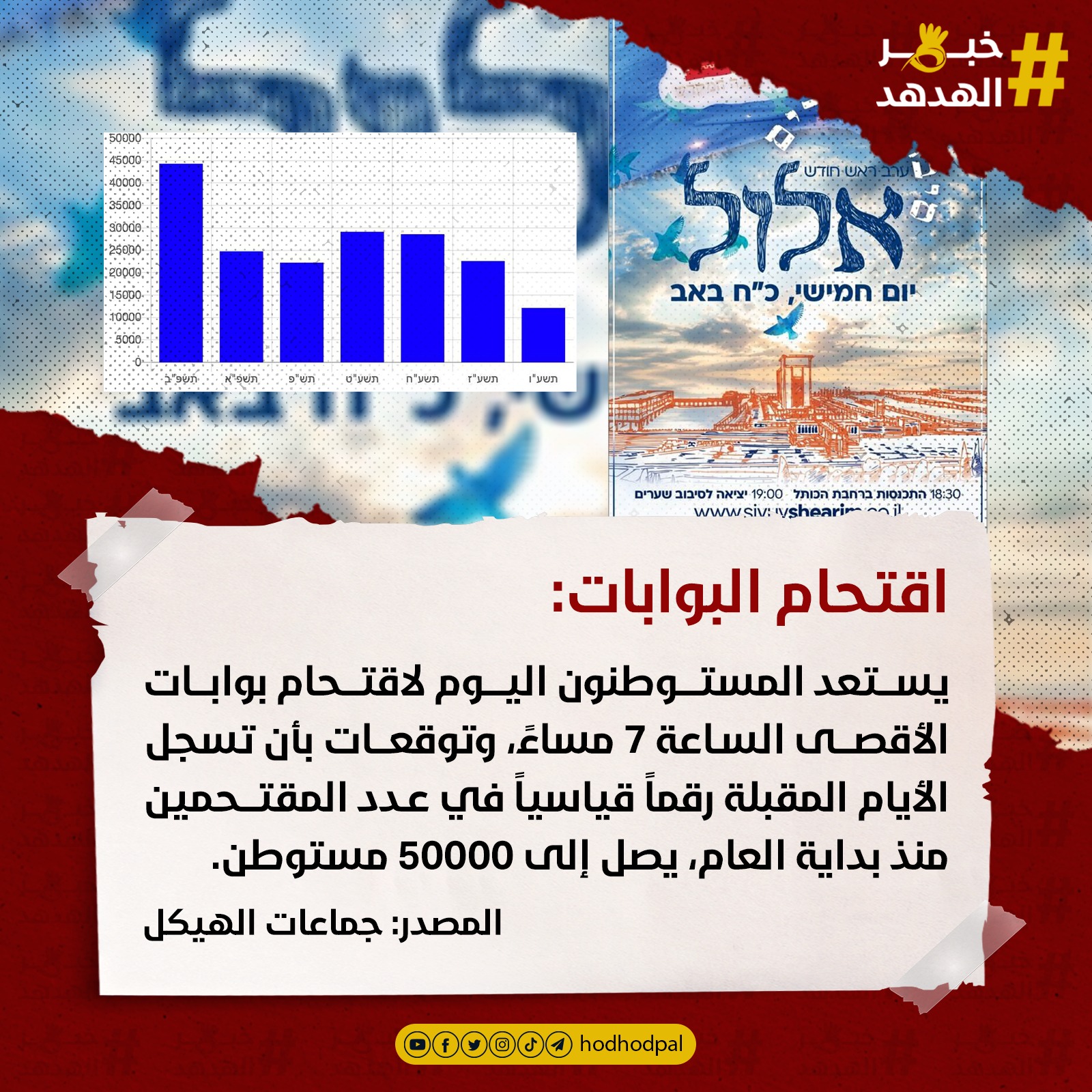 #خبر_الهدهد