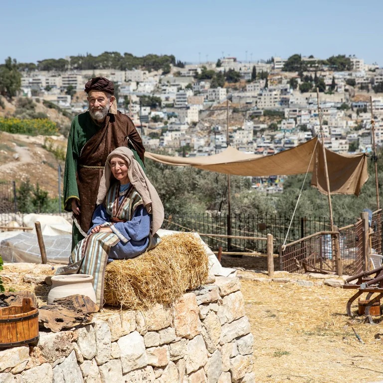 منظمات الاستيطان تتطلع إلى الاستيلاء الكامل على أراضي القدس