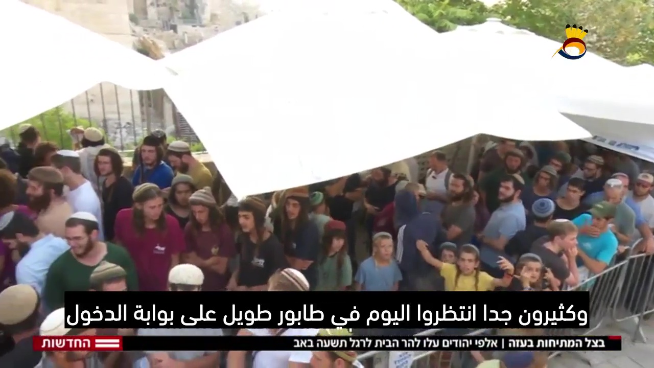 #شاهد: في ظل التصعيد على غزة : آلاف المستوطنين اقتحموا #الأقصى