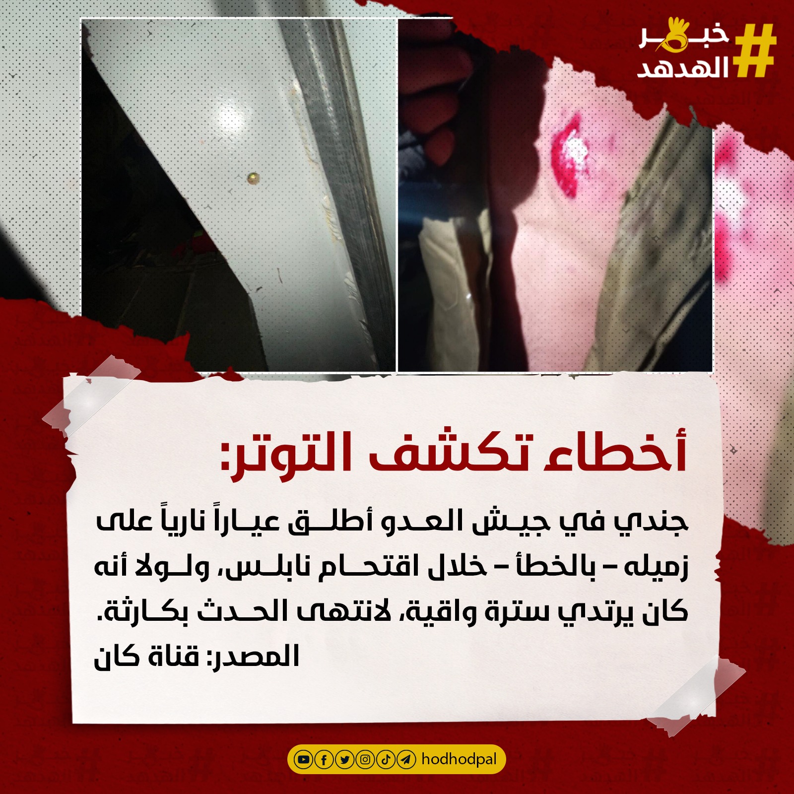 #خبر_الهدهد