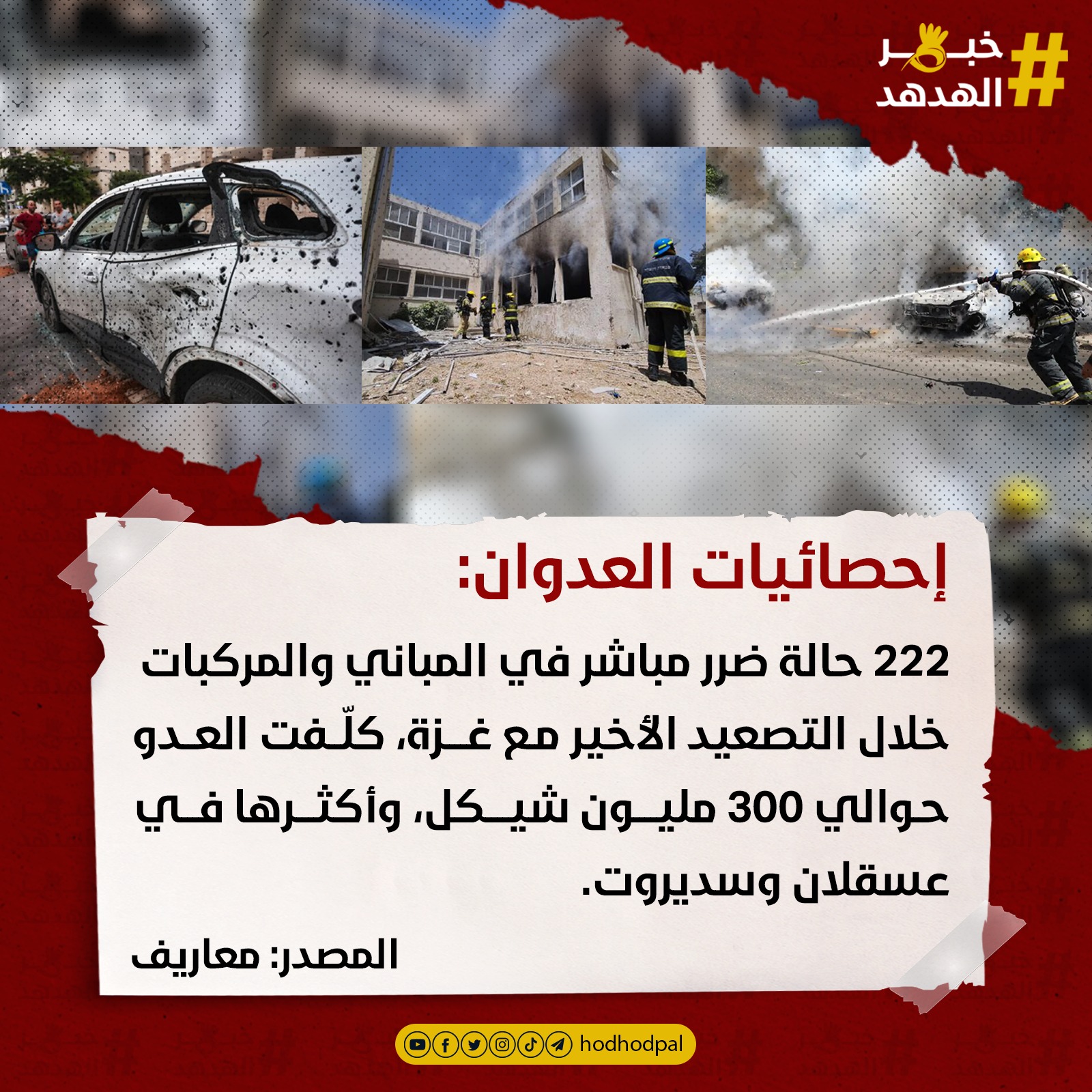 #خبر_الهدهد