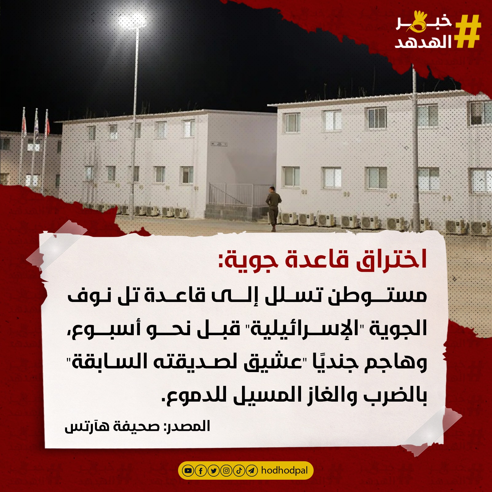 #خبر_الهدهد