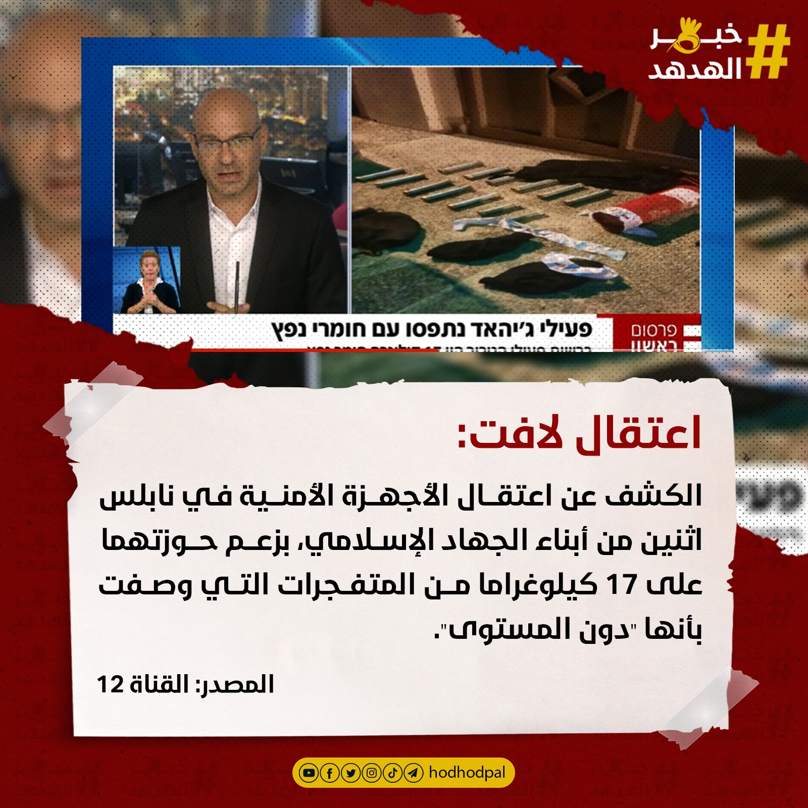 #خبر_الهدهد