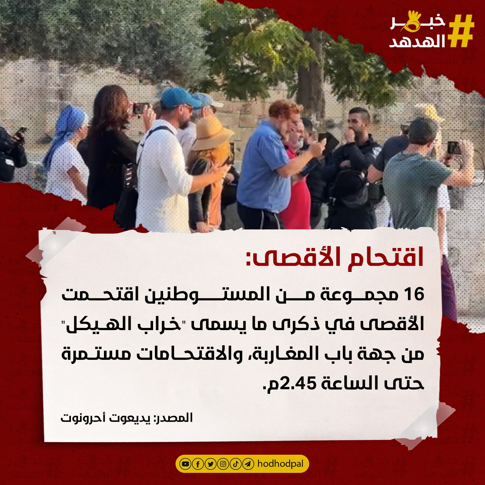 #خبر_الهدهد