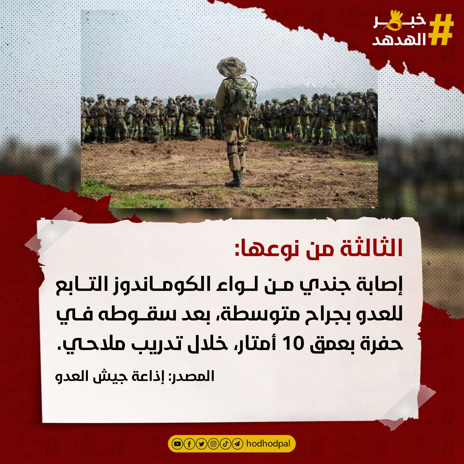 #خبر_الهدهد