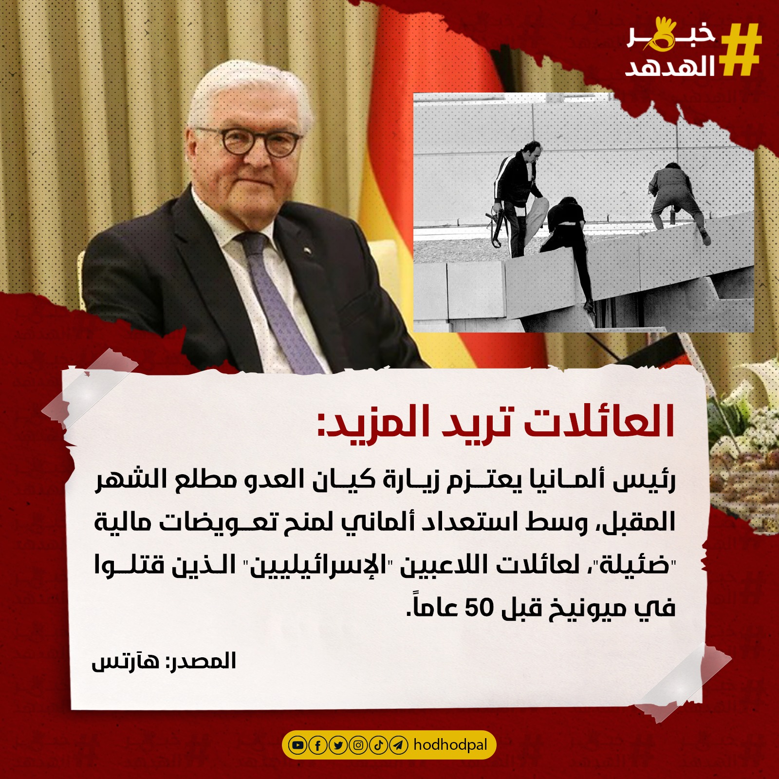 #خبر_الهدهد