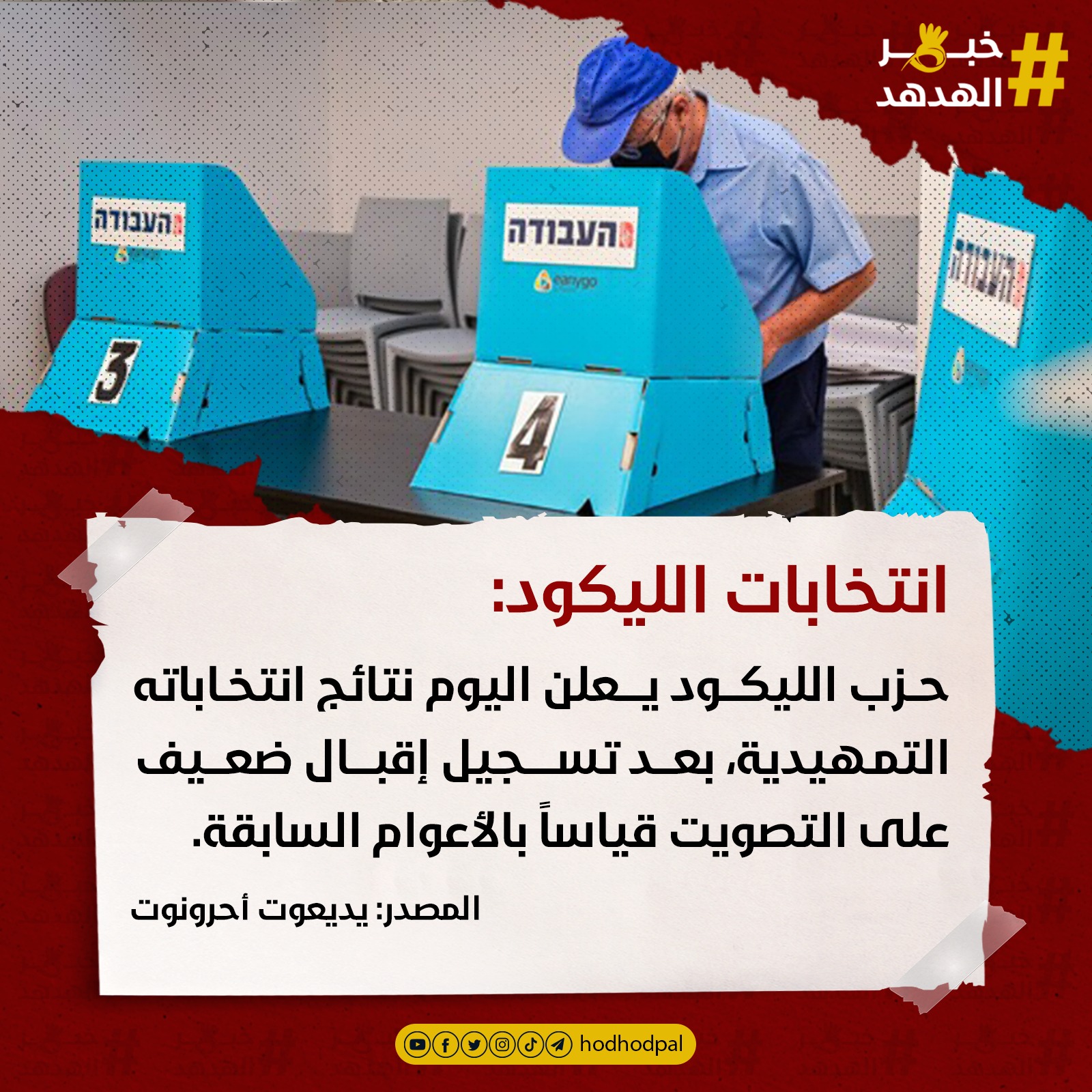 #خبر_الهدهد