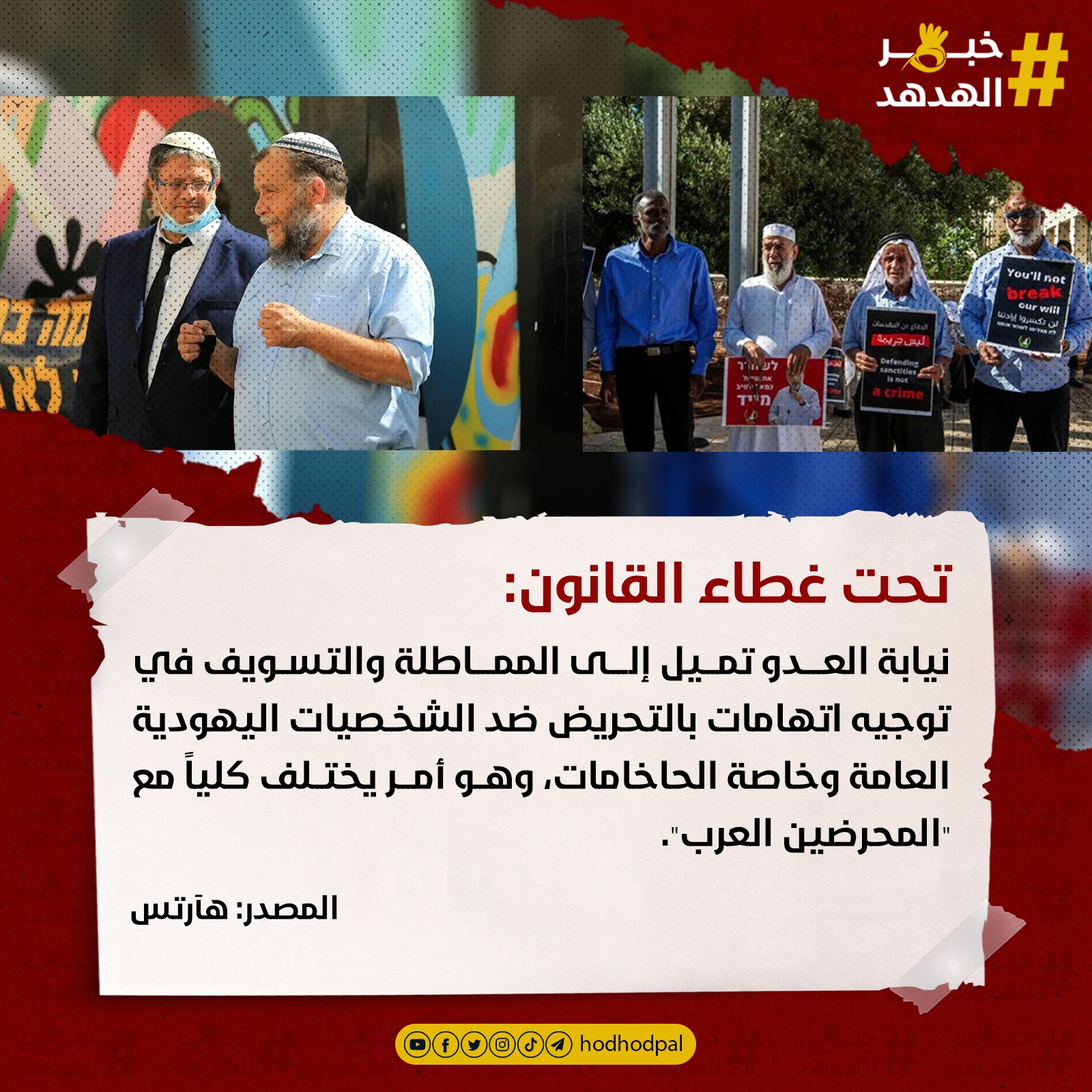 #خبر_الهدهد