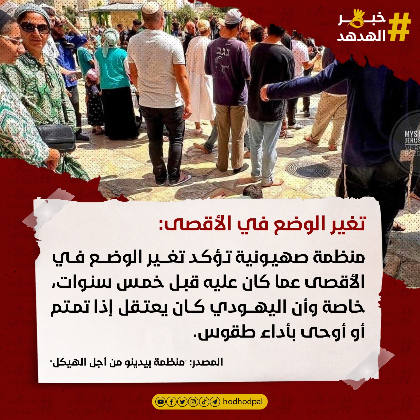 #خبر_الهدهد