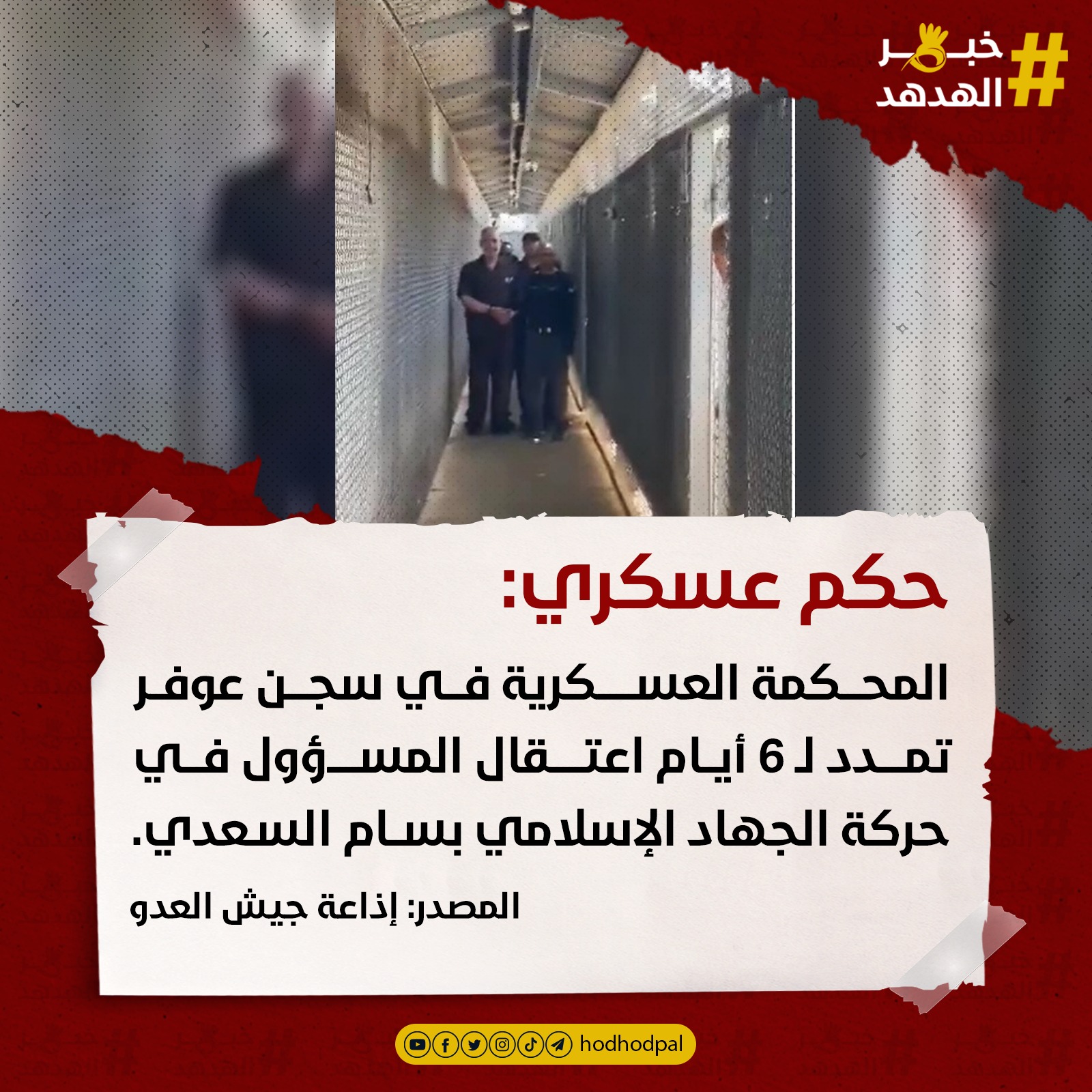 #خبر_الهدهد